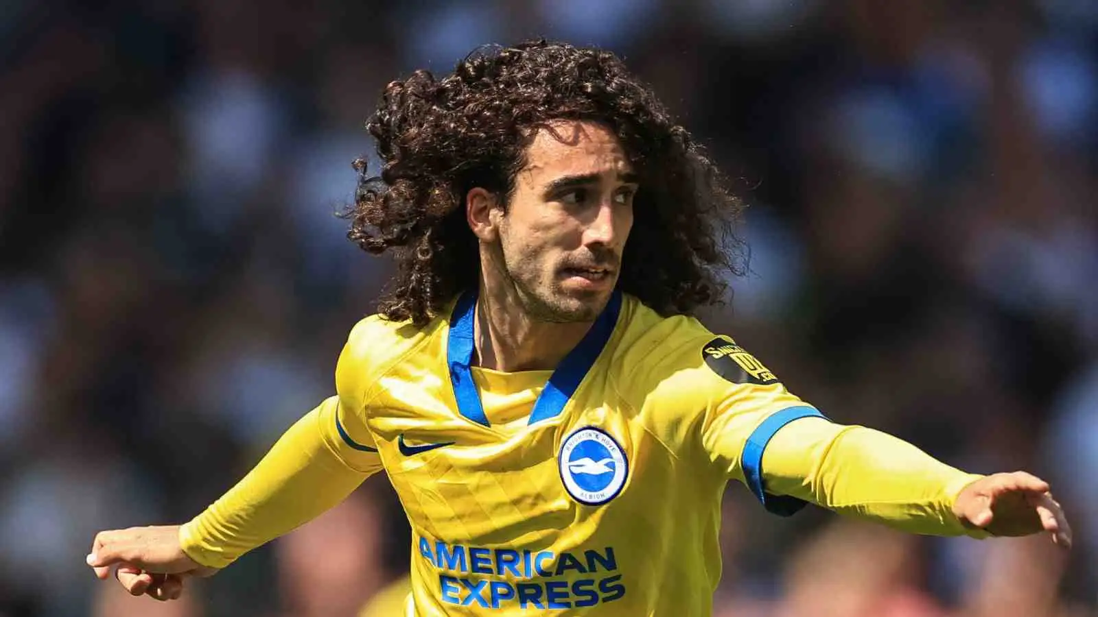 Marc Cucurella playing for Brighton