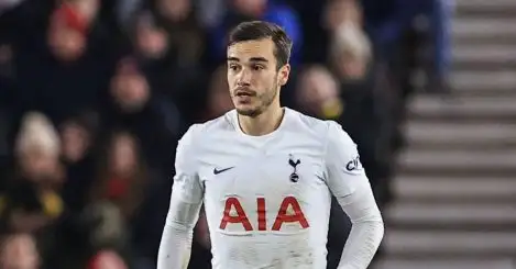 Harry Winks tipped for ‘unbelievable’ Everton move, with stand-out trait to prove Tottenham wrong