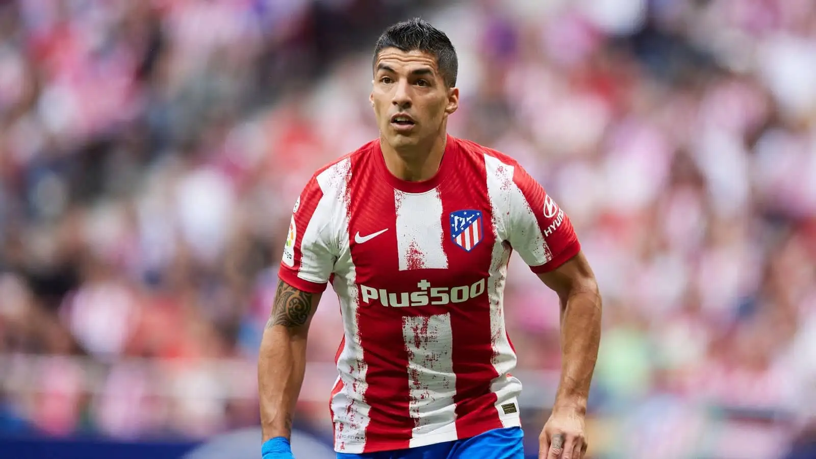 Aston Villa perfectly suit Luis Suarez aims as Steven Gerrard urges club to go back in for striker