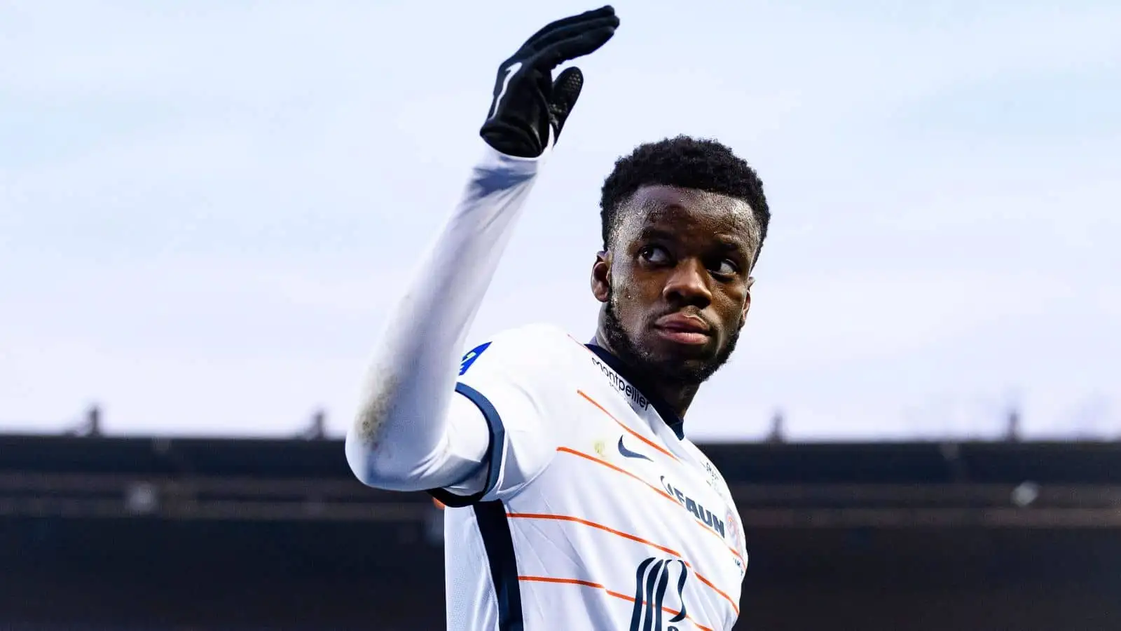 Stephy Mavididi Montpellier