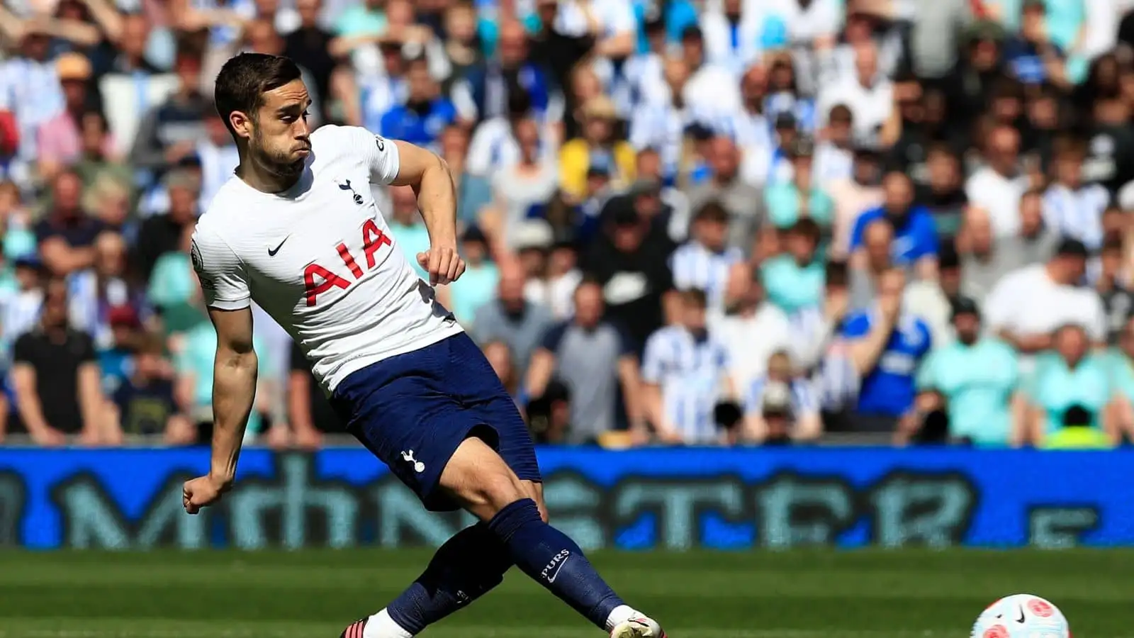 Harry Winks, Tottenham v Brighton April 2022