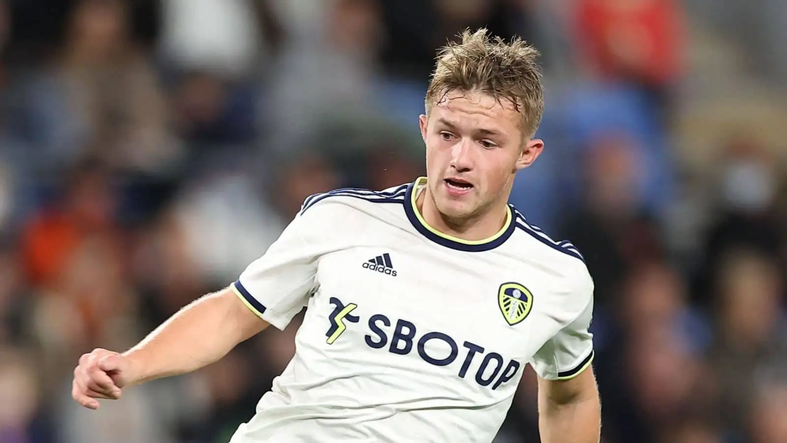 Joe Gelhardt blown away by Leeds Utd summer signing Wilfried Gnonto,  labelling star: 'Very sharp, very fast'