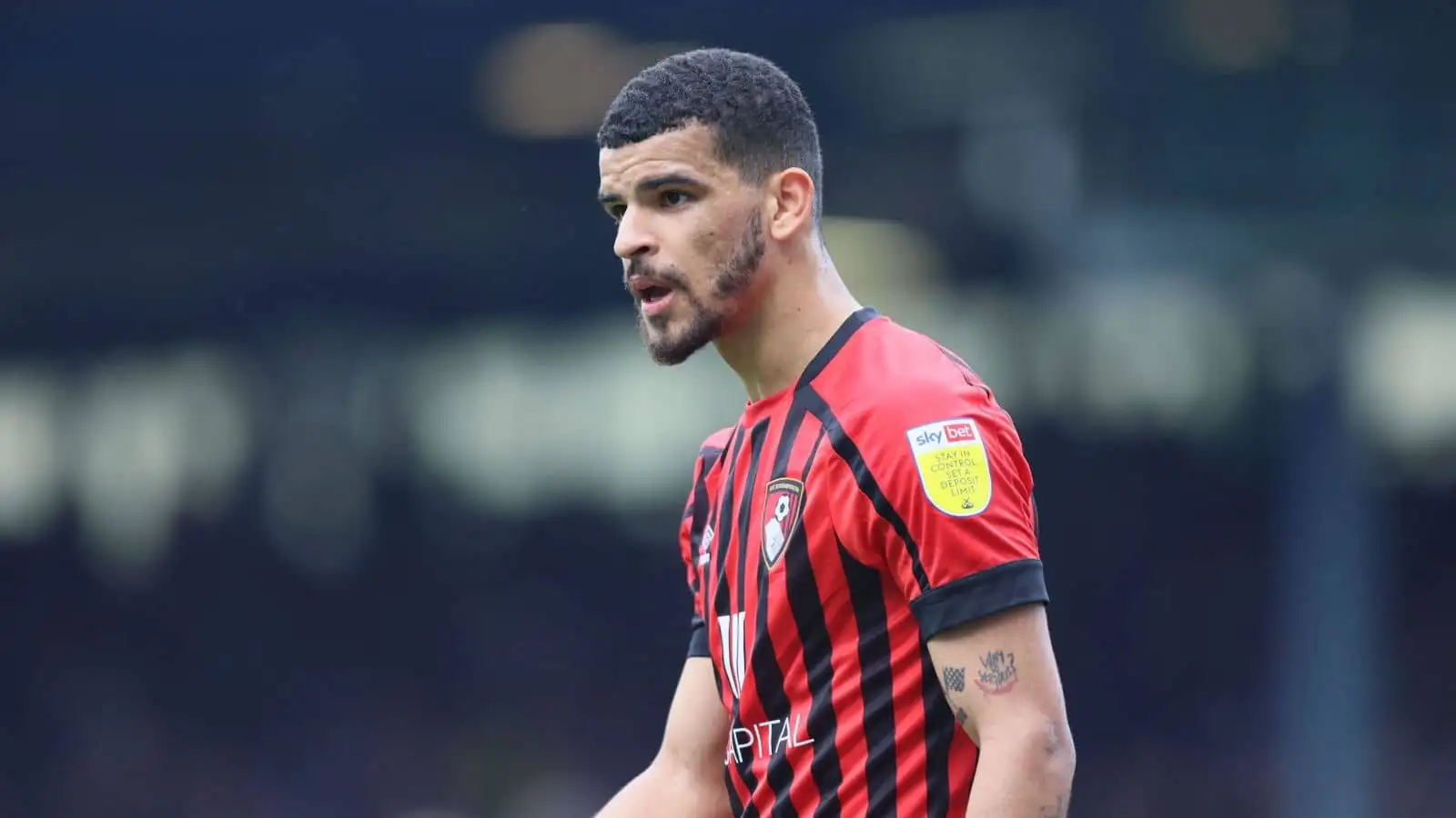 Dominic Solanke news: Prolific Bournemouth striker signs new ...