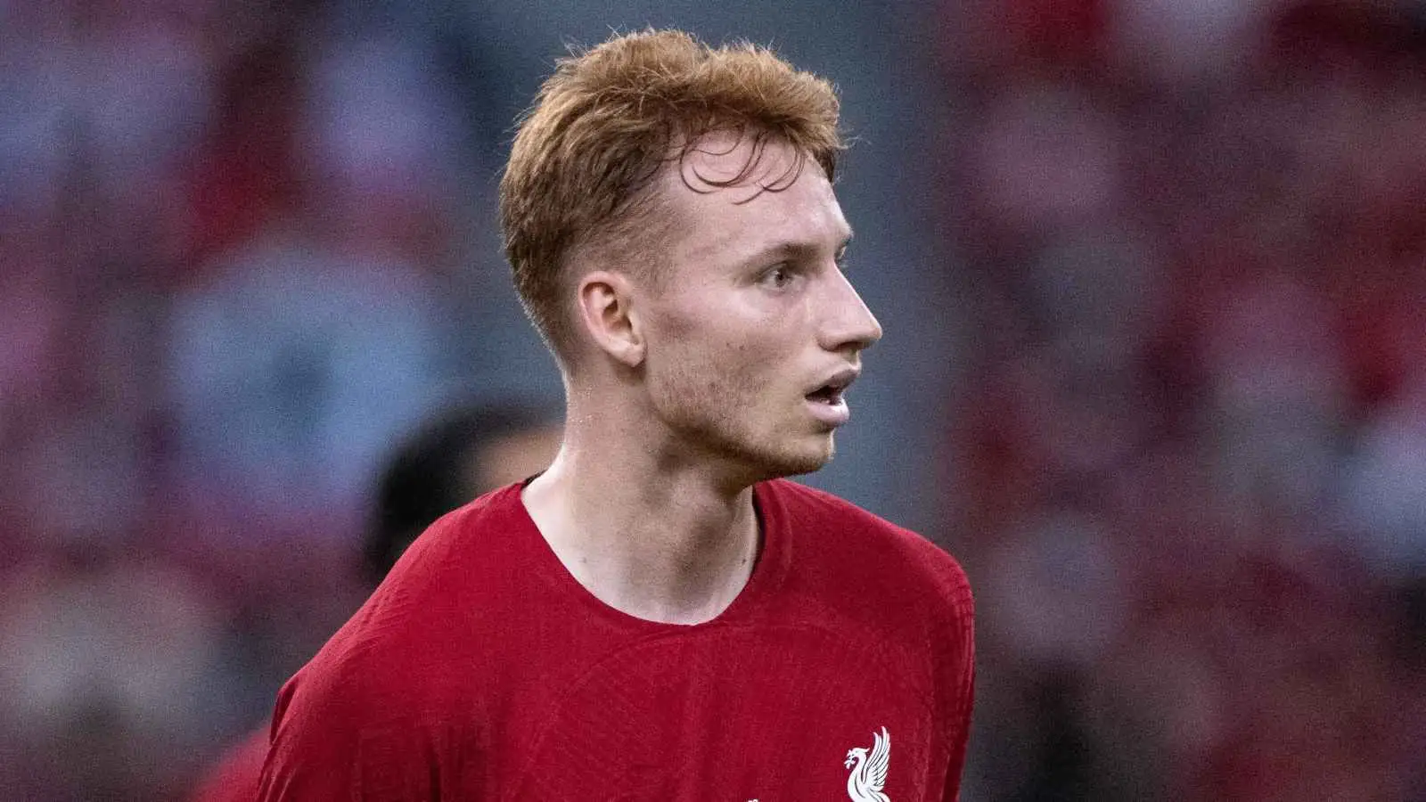 Liverpool stance on immediate Sepp van den Berg future revealed amid five-way battle, with innovative clause formulated