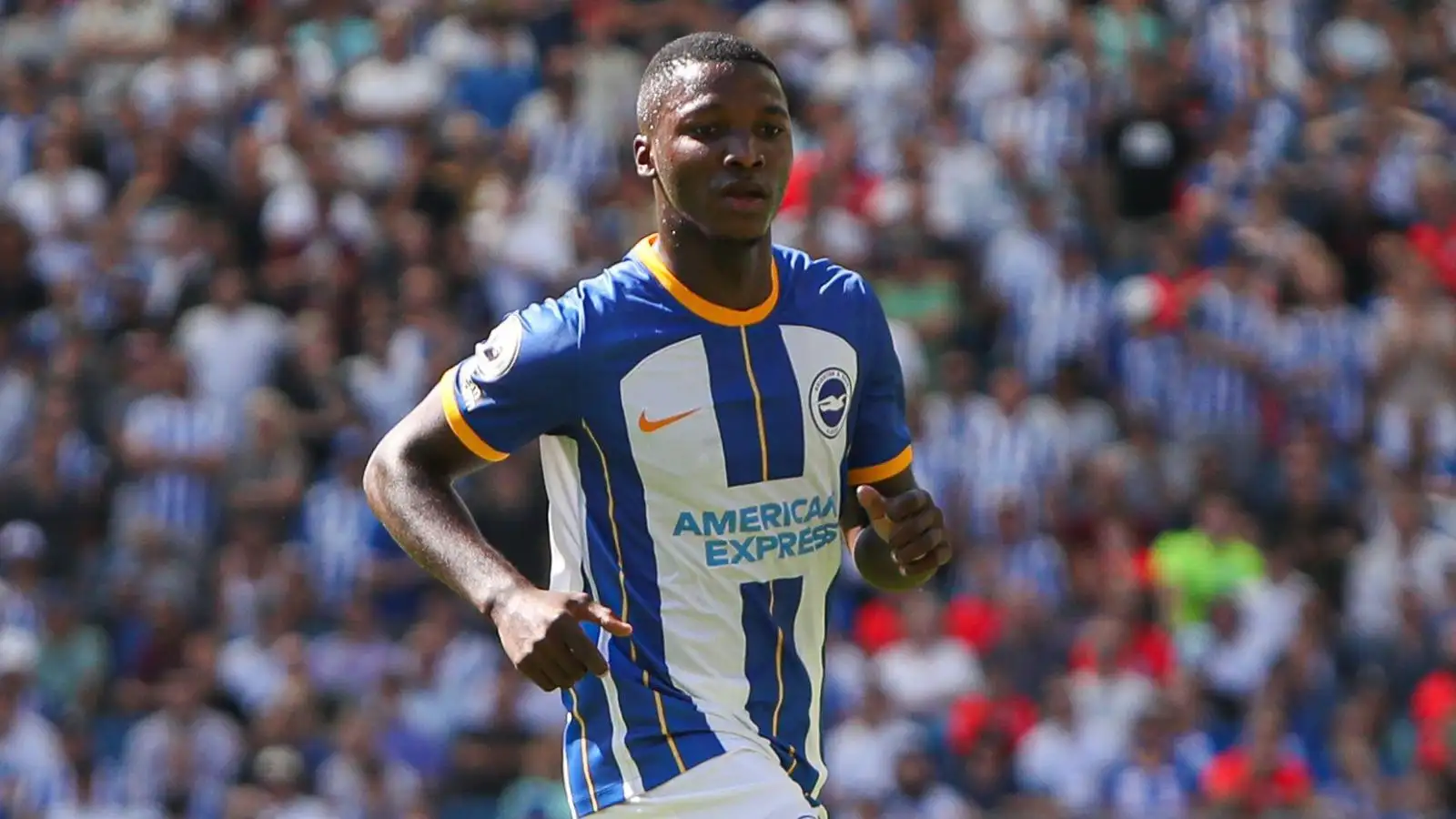 Moises Caicedo Brighton August 2022