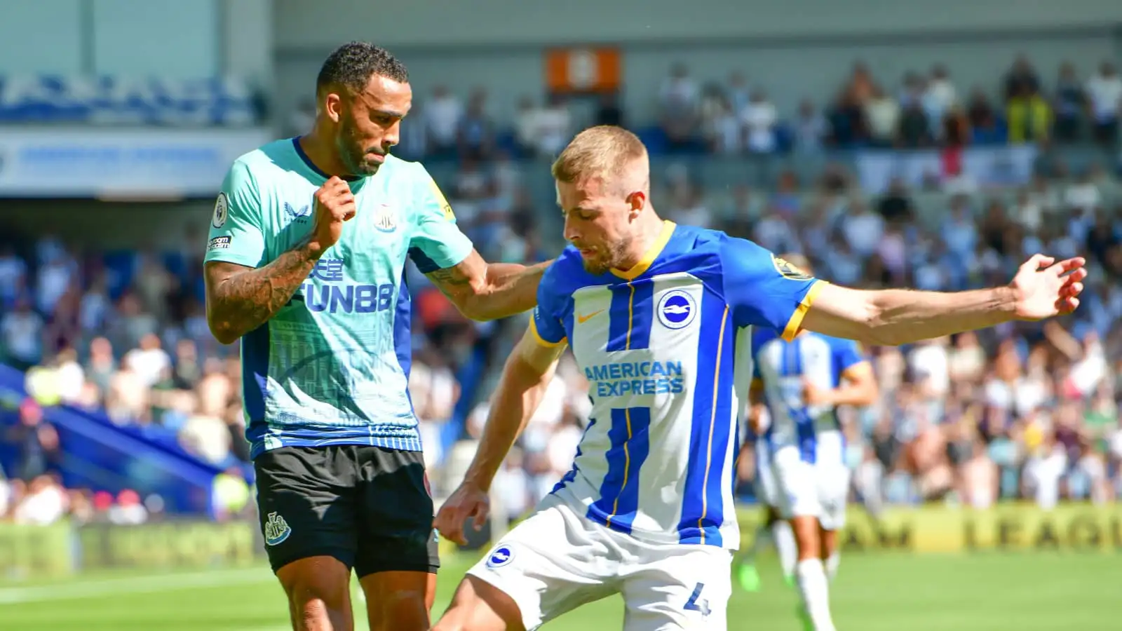 Newcastle striker Callum Wilson and Brighton centre-back Adam Webster