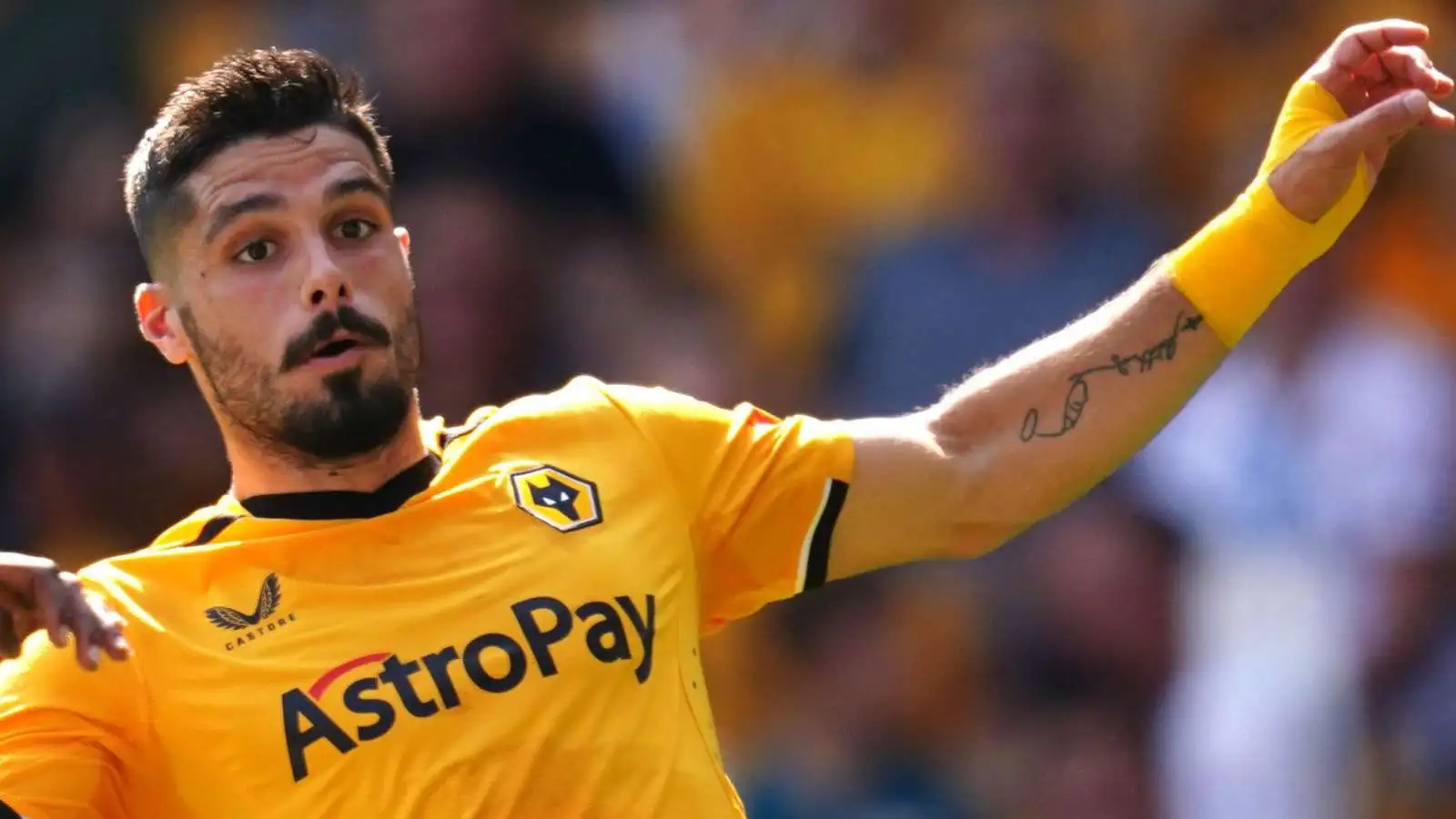 Pedro Neto playing for Wolves