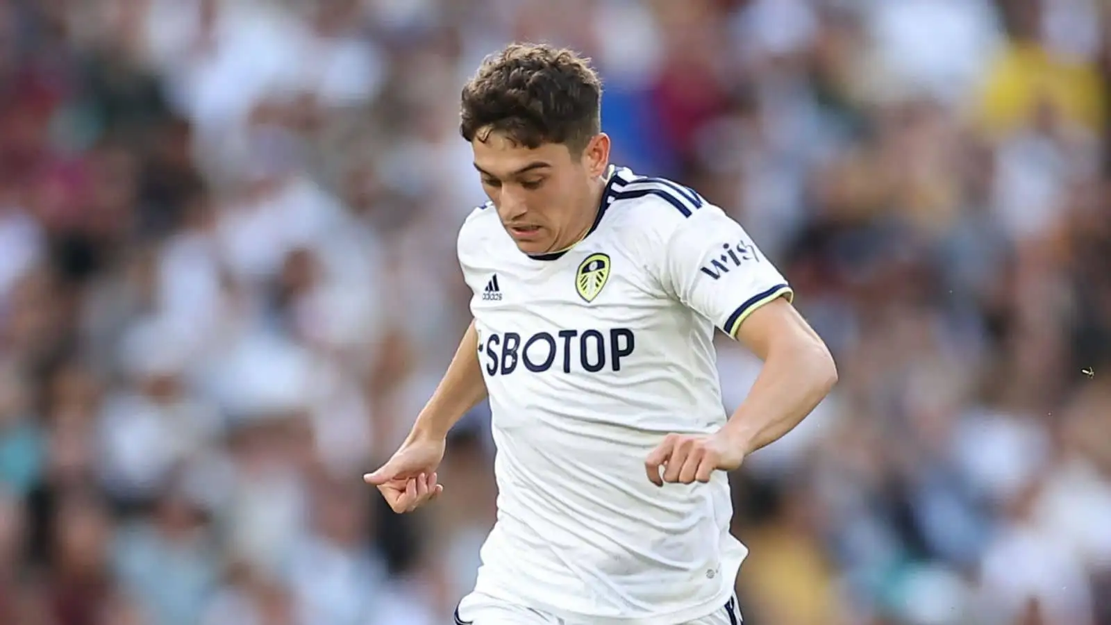 Dan James transfer latest: Problem emerges with Tottenham offer as new Premier League side vow to match Leeds asking price