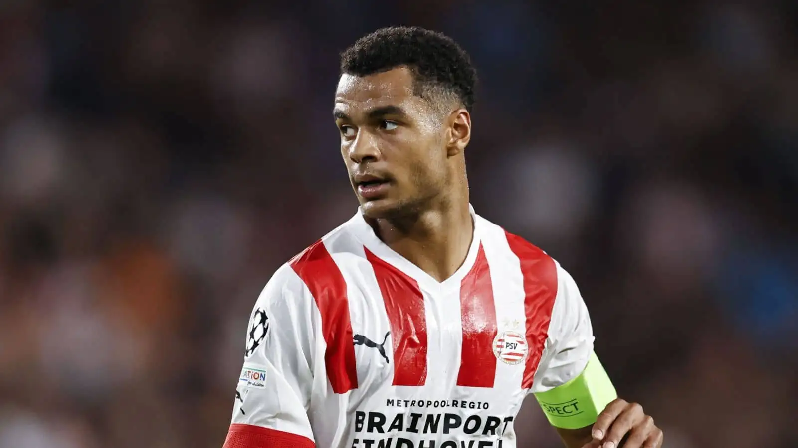 Cody Gakpo of PSV Eindhoven during the UEFA Champions League play-off match between PSV Eindhoven and Rangers FC at Phillips Stadium