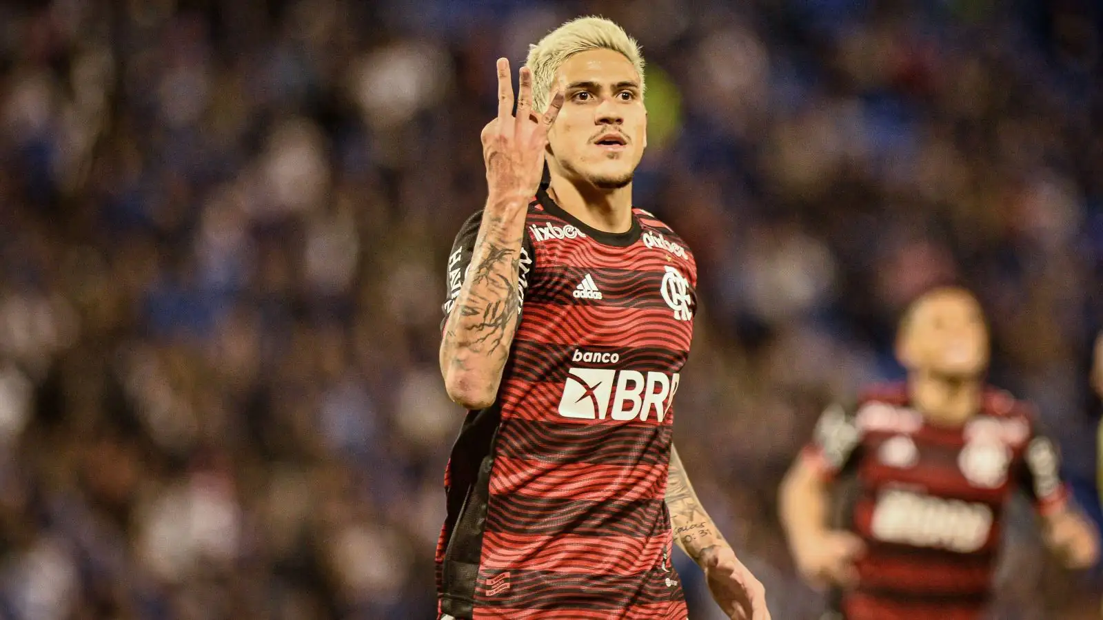 Pedro Flamengo August 2022