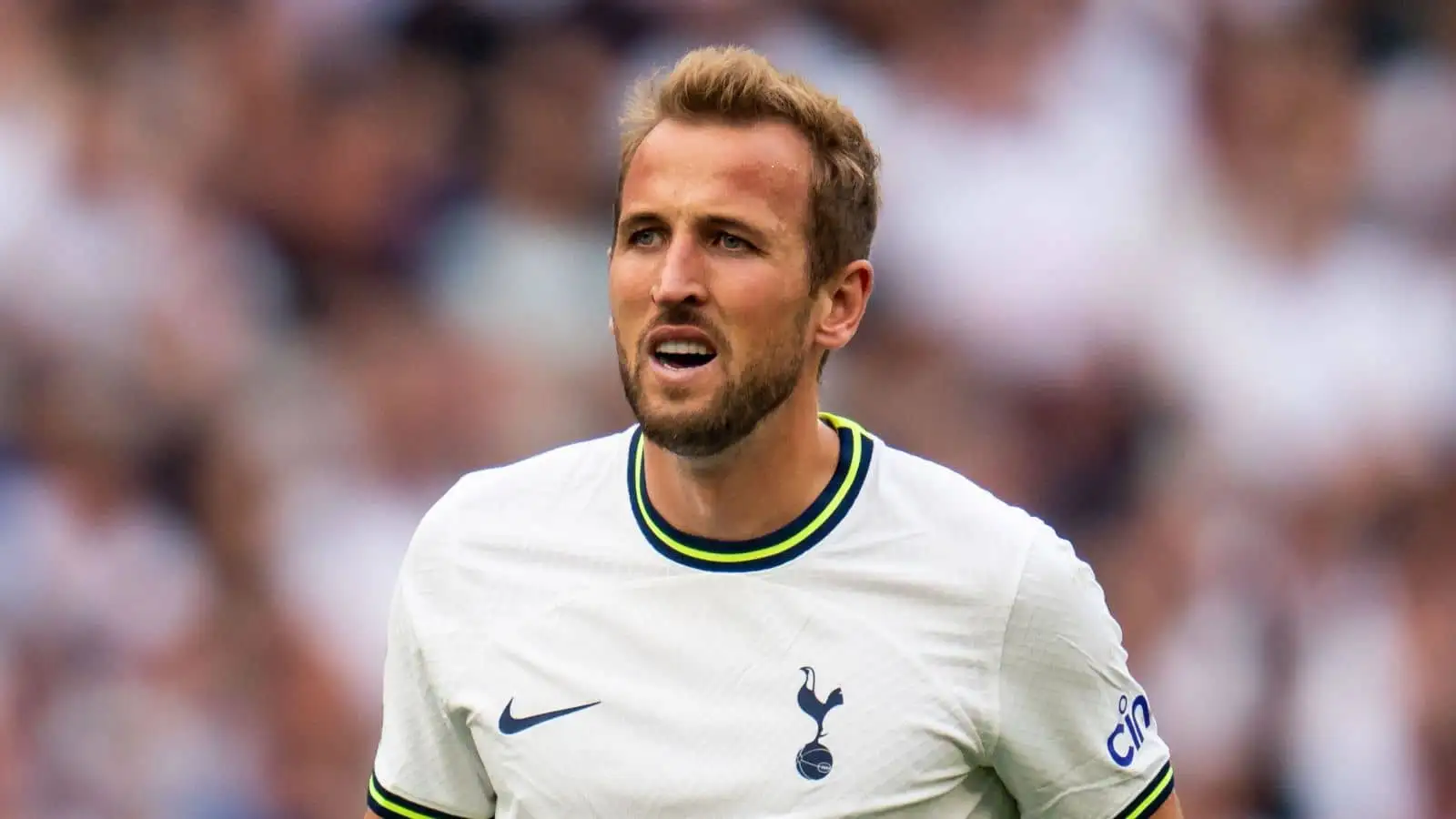 Harry Kane No 10 of Tottenham Hotspur during the Premier League match Tottenham Hotspur vs Fulham at Tottenham Hotspur Stadium