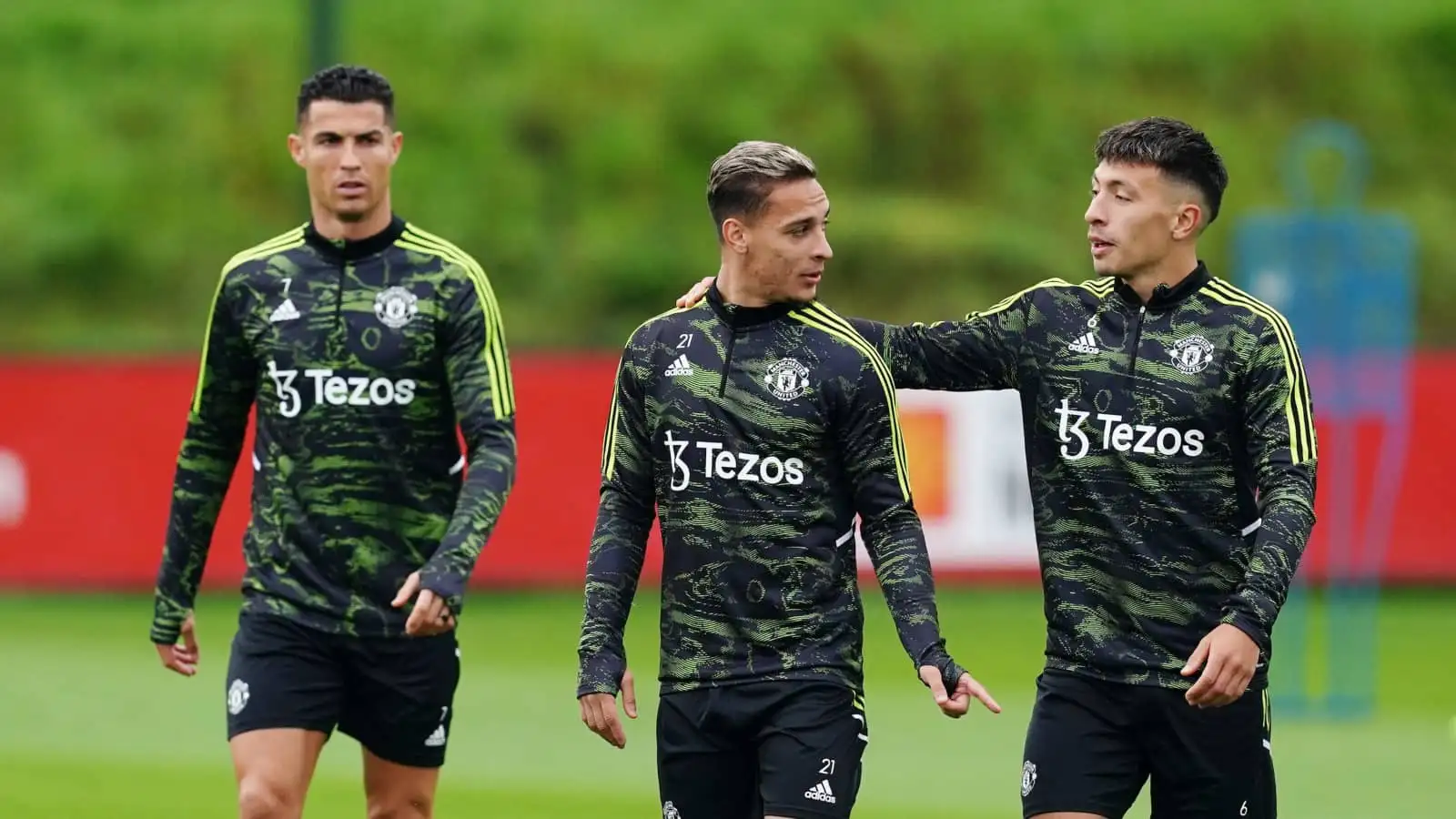 Tottenham star suggests Man Utd signing was a masterstroke after naming new boy and Van Dijk as Prem’s best