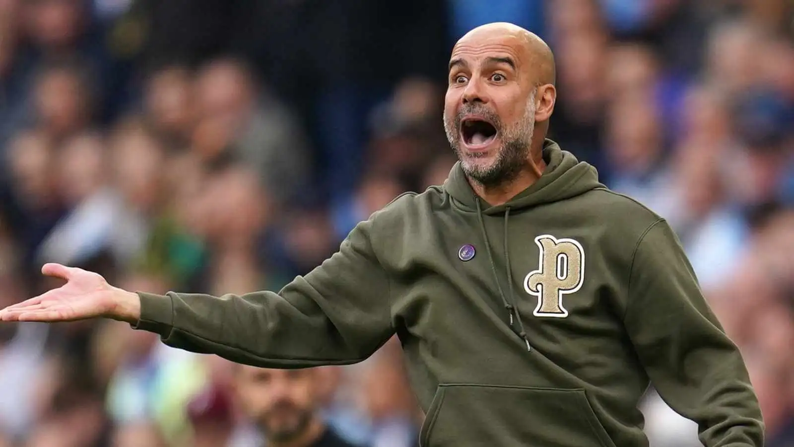 Pep Guardiola during a Manchester City match