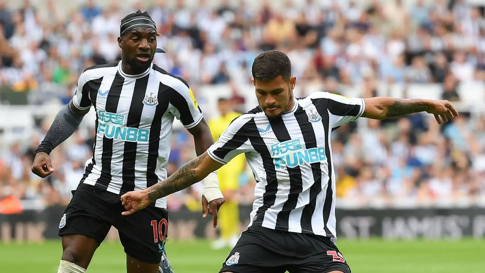 Newcastle told they have made 'world-class' transfer amid Allan