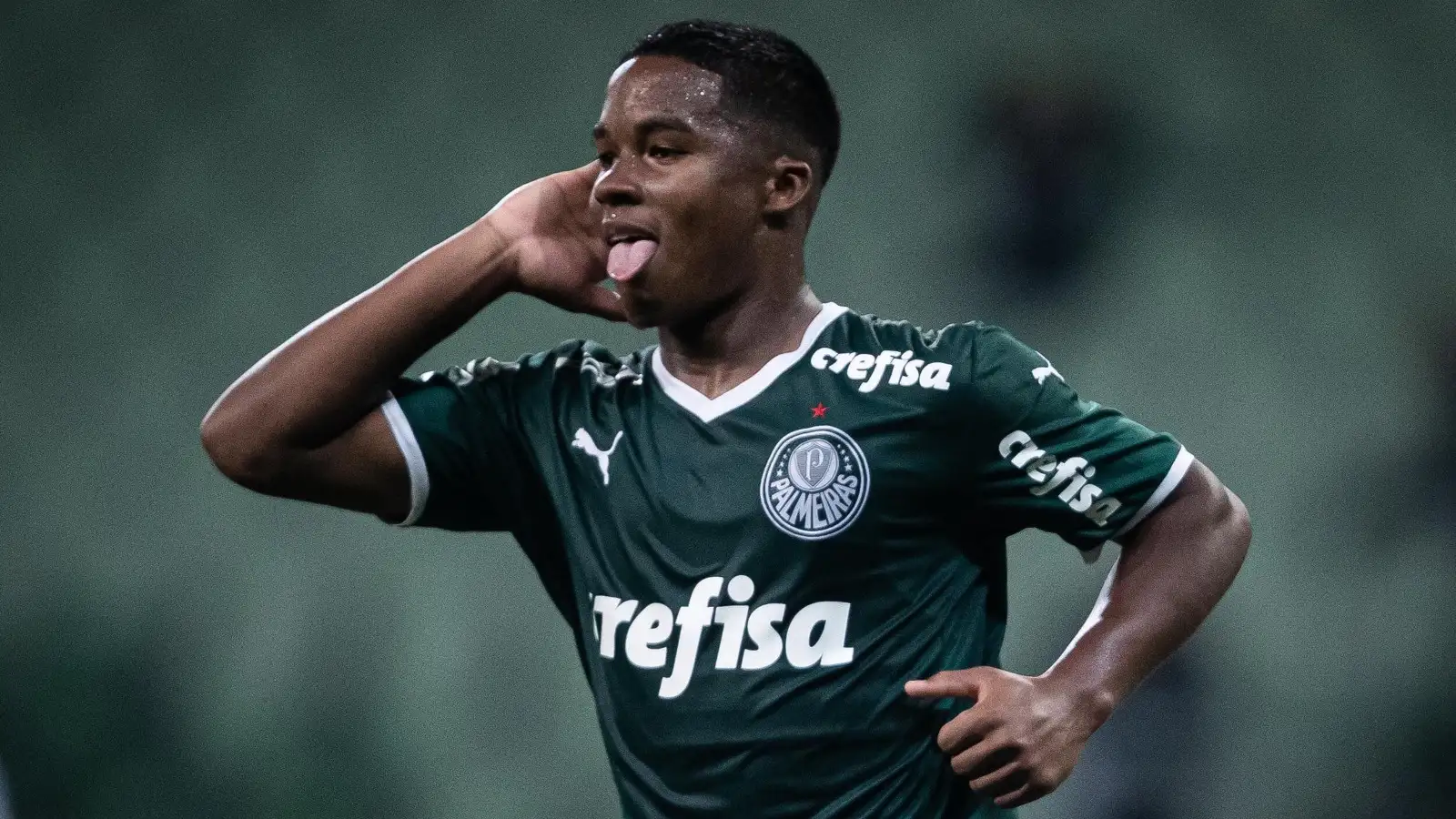 Endrick, Palmeiras