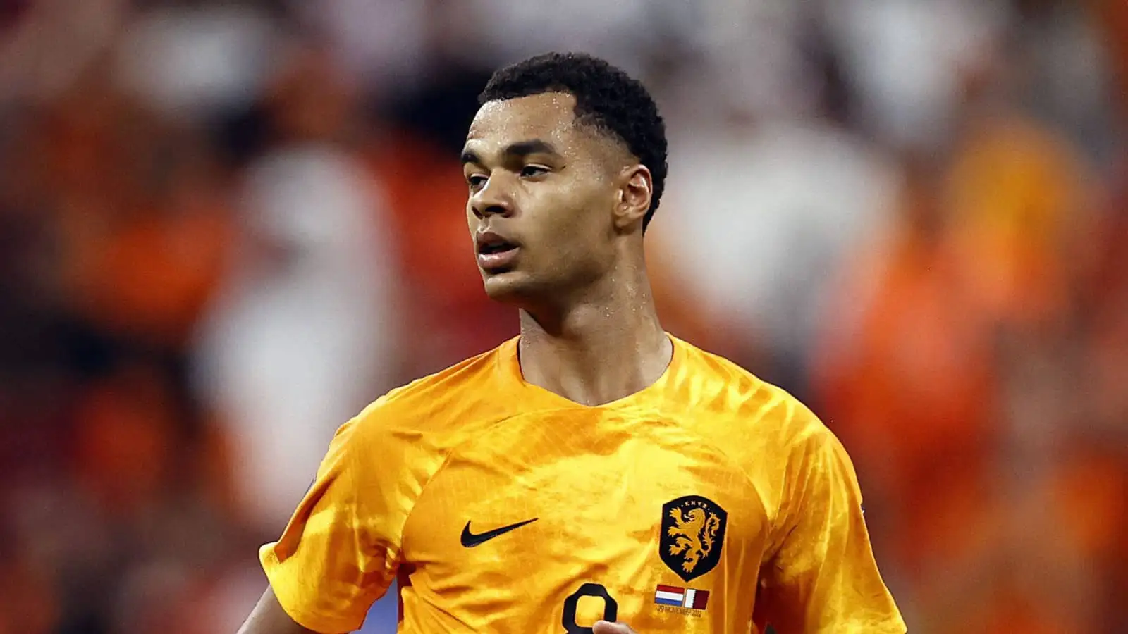 Cody Gakpo: Best position named as Dutch legend declares Liverpool transfer ‘right choice’ but predicts ‘fight’ with existing favourite