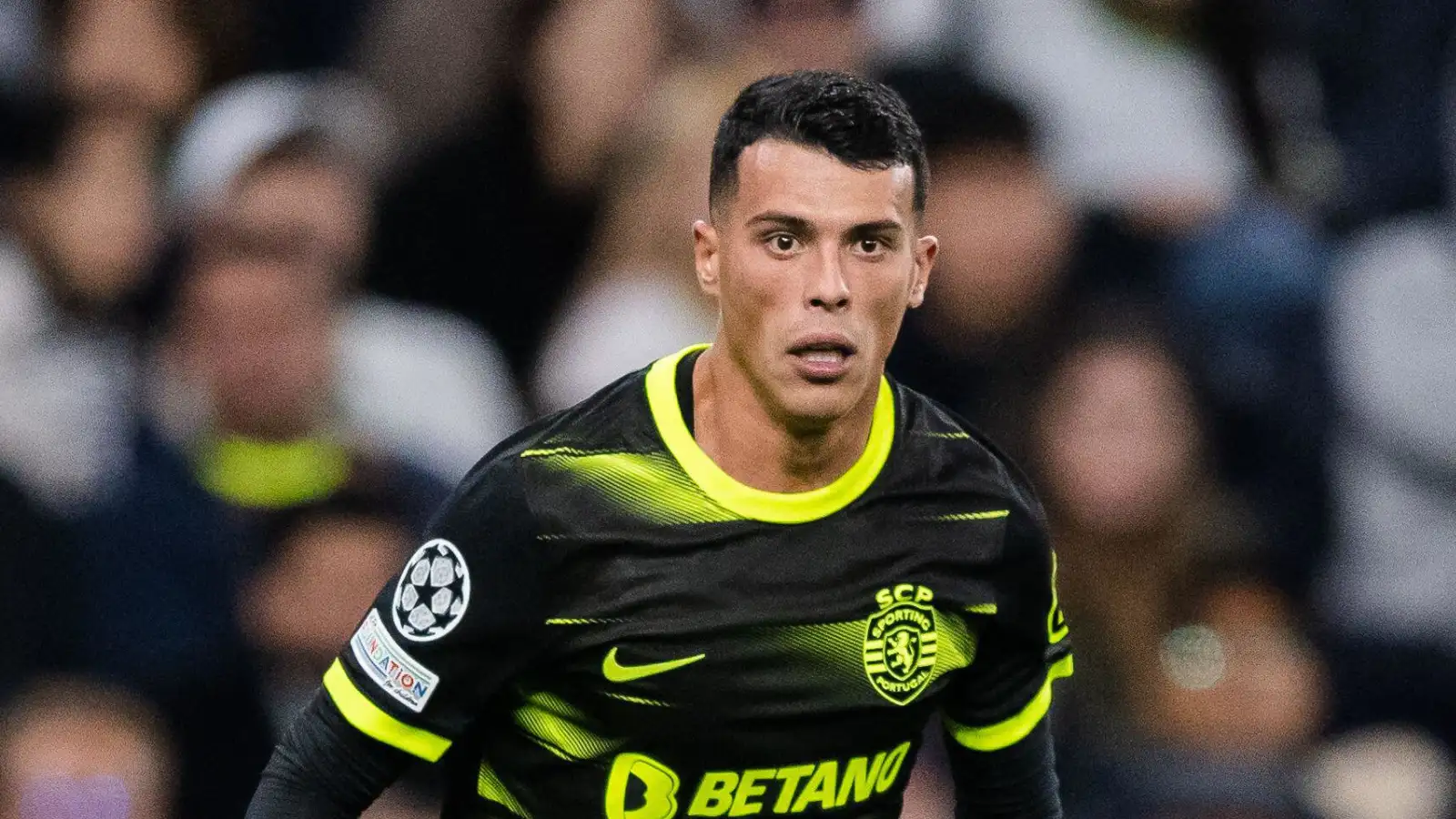 Tottenham made to look silly by Sporting as trusted source reveals how much Pedro Porro should have cost