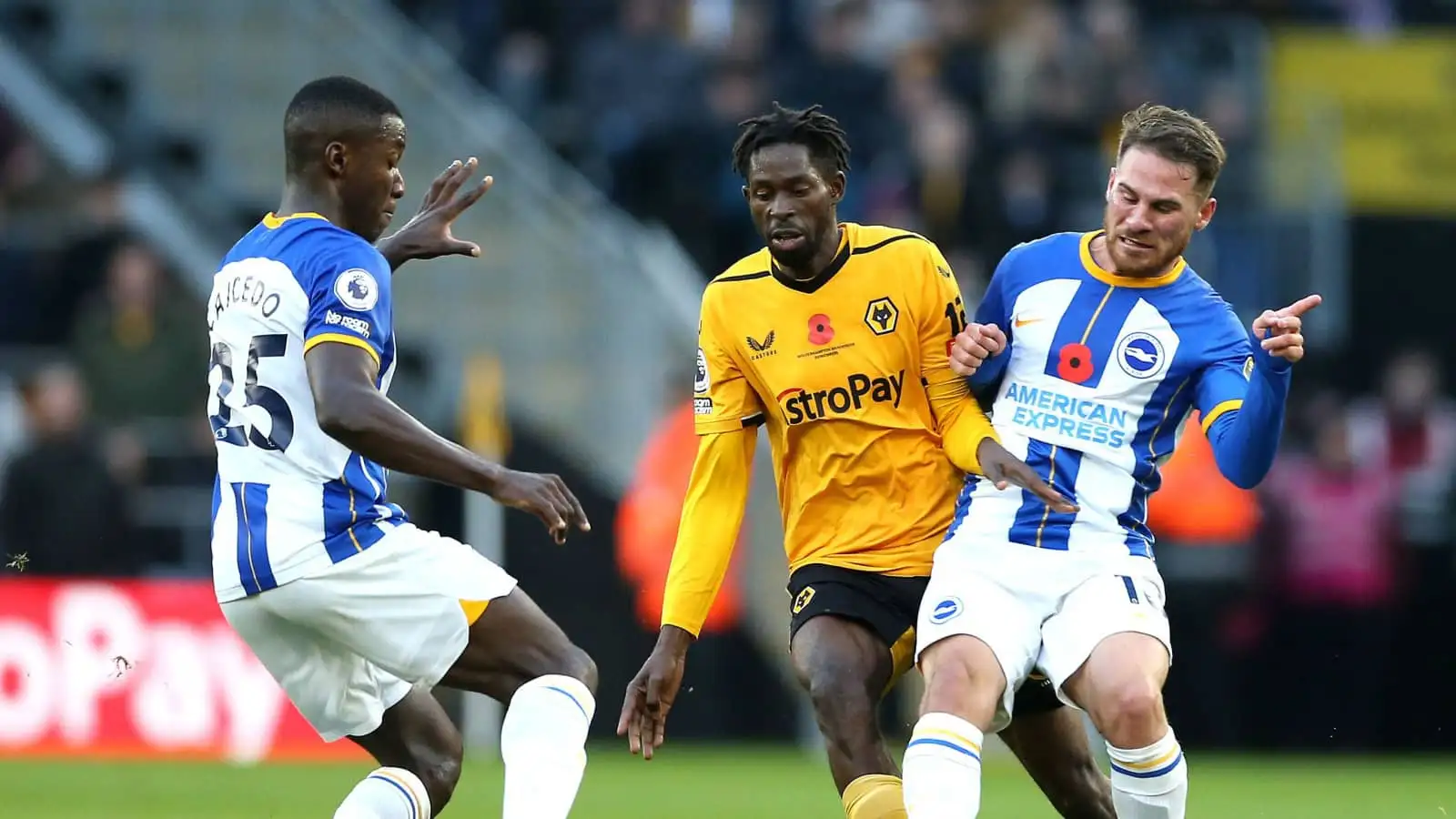 Brighton stars Moises Caicedo and Alexis Mac Allister playing against Wolves