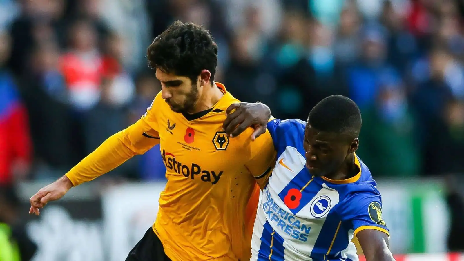Wolverhampton Wanderers' Goncalo Guedes and Brighton and Hove Albion's Moises Caicedo
