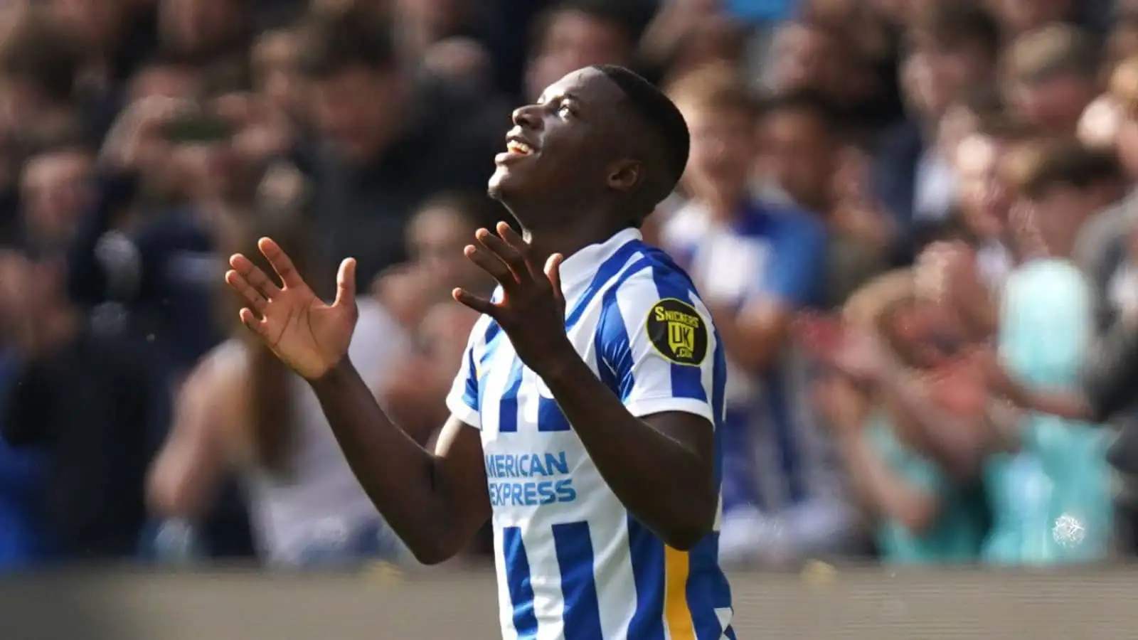 Moises Caicedo, Brighton, May 2022