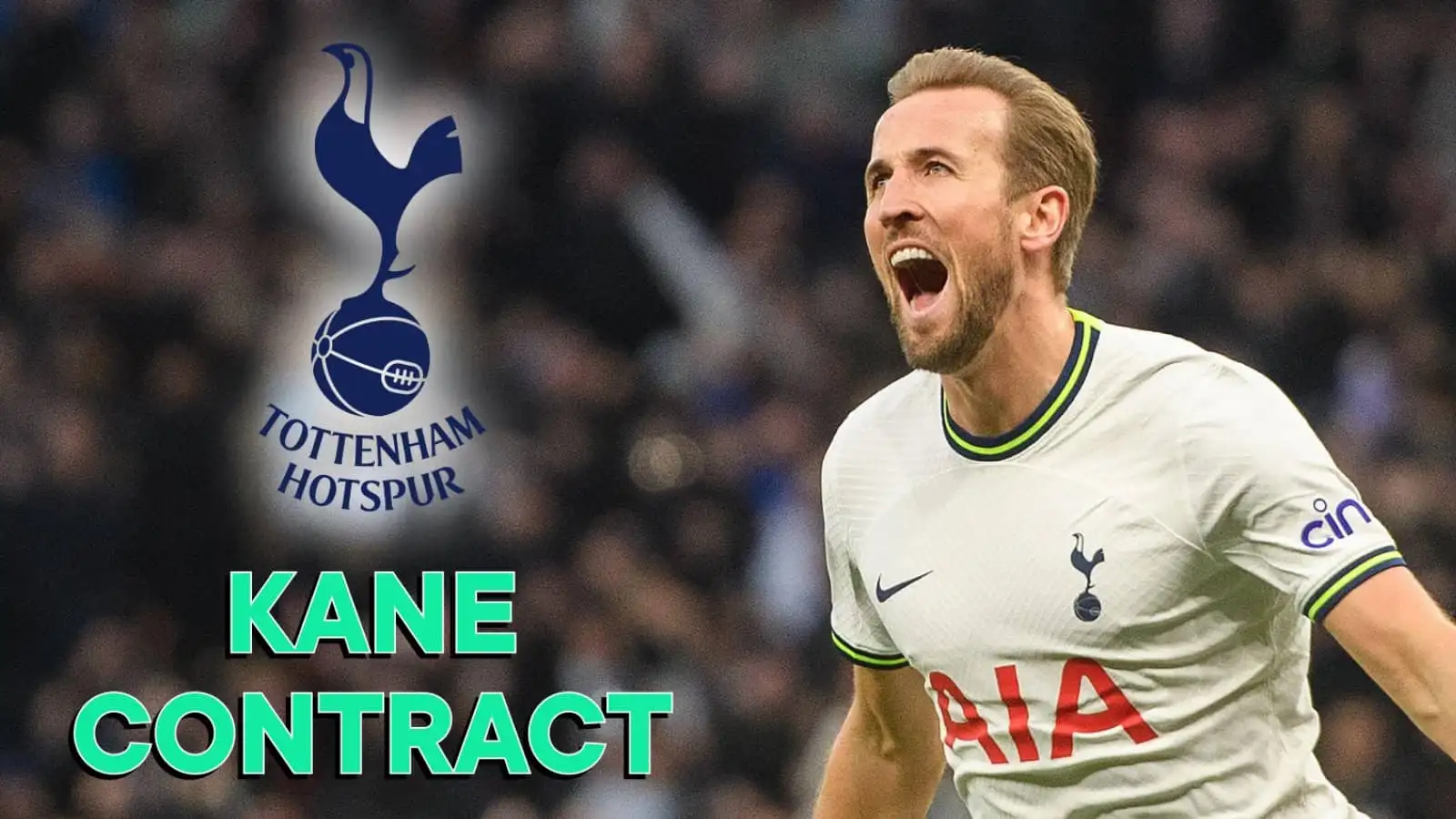 Harry Kane Tottenham