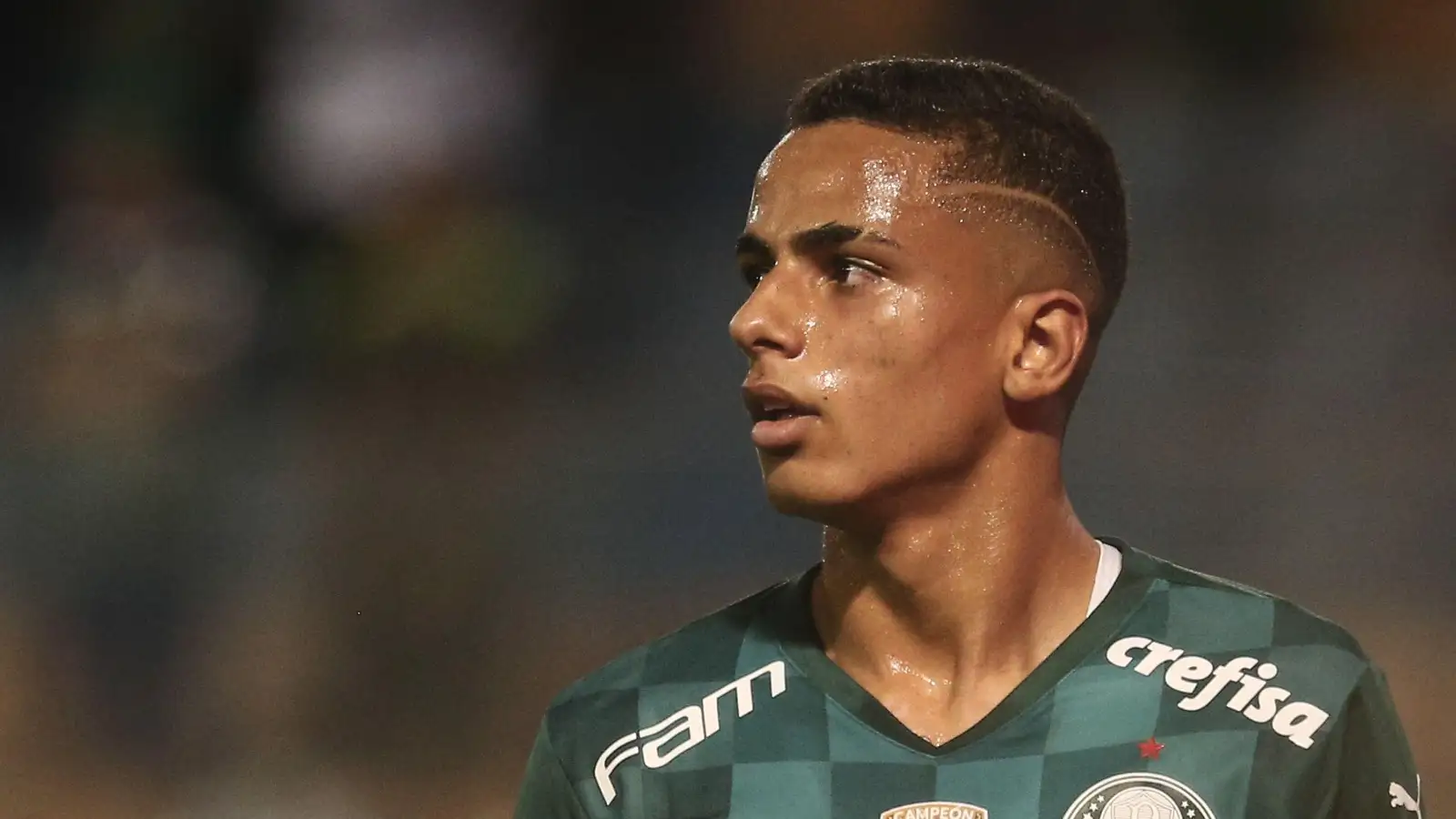 palmeiras winger Giovani