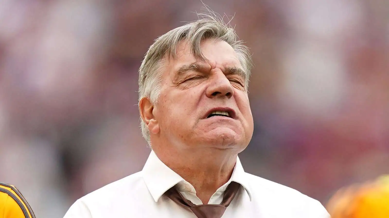 Sam Allardyce looking anguished