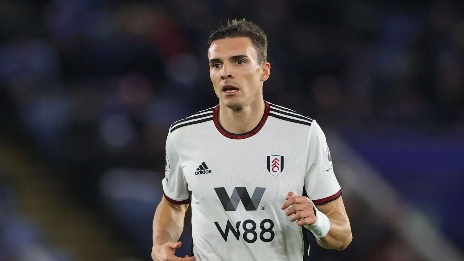 Fulham Midfielder Joao Palhinha