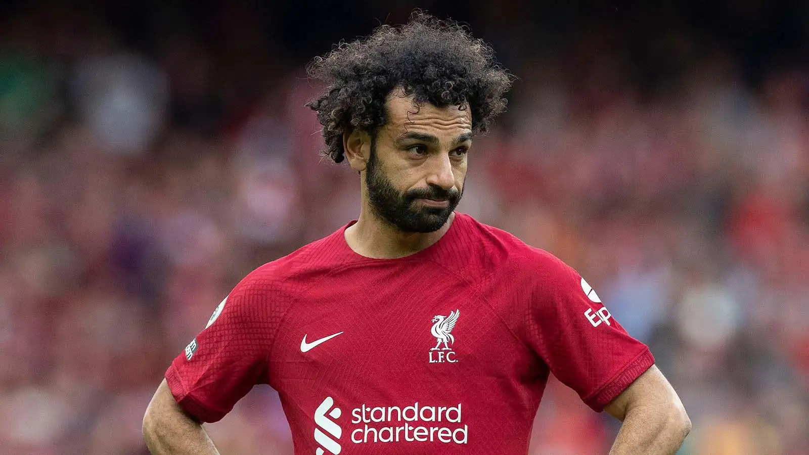Mo Salah #11 of Liverpool during the Premier League match between Liverpool and Brentford at Anfield, Liverpool on Saturday 6th May 2023.
