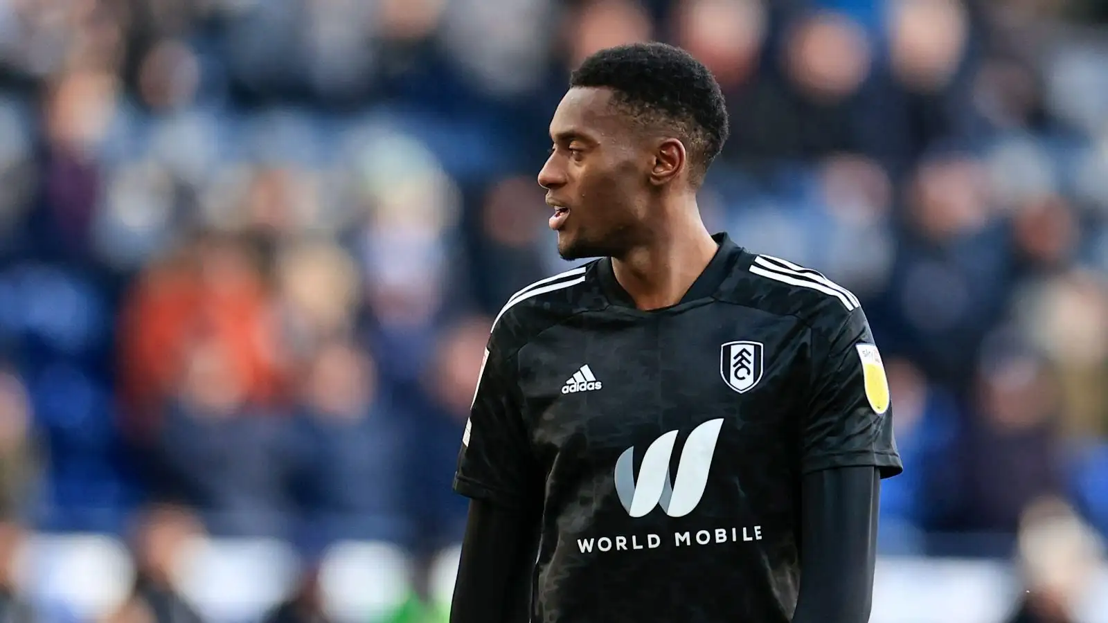 Tottenham Hotspur interested in Fulham's Tosin Adarabioyo - Get