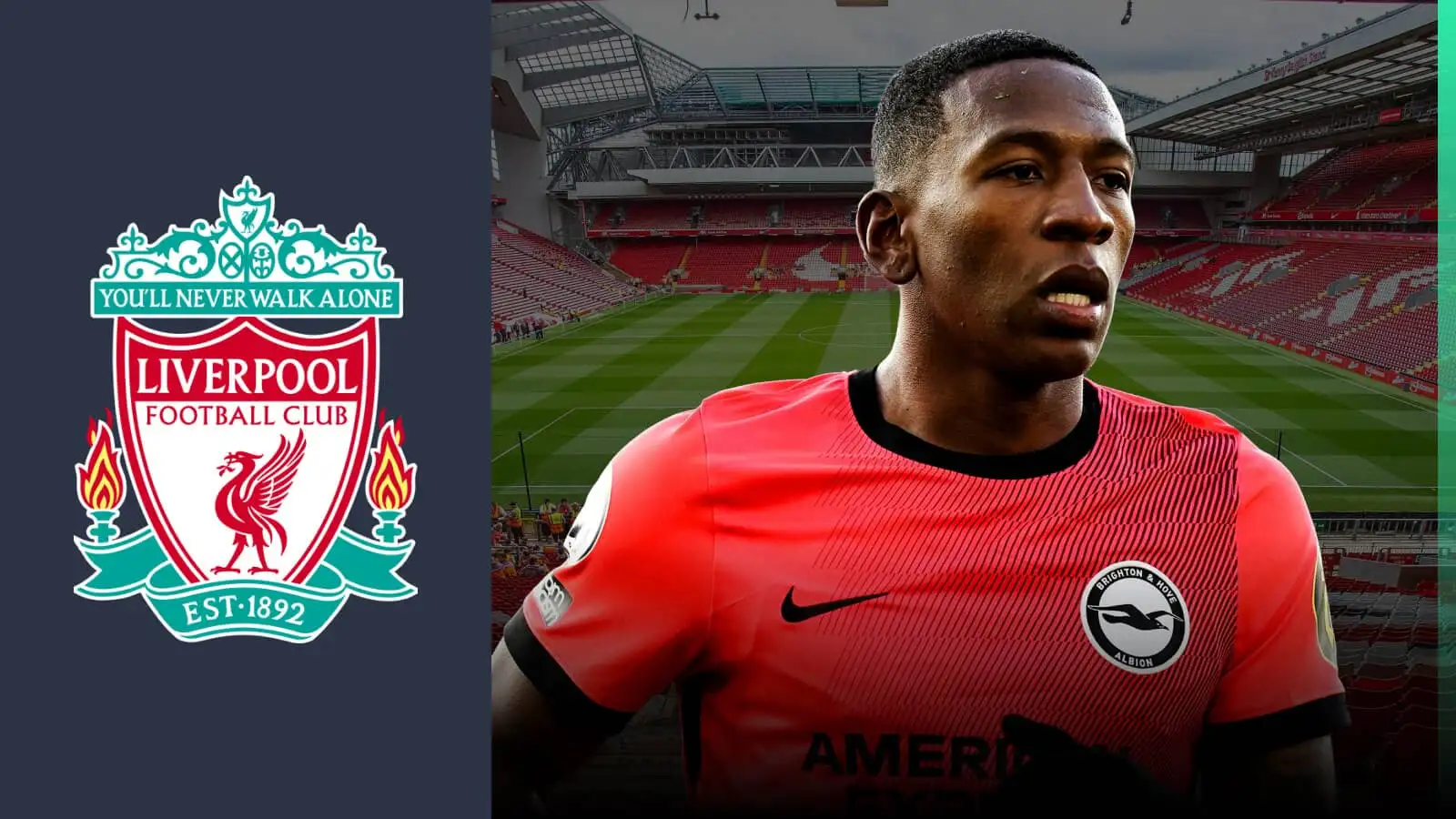 Pervis Estupinan Brighton