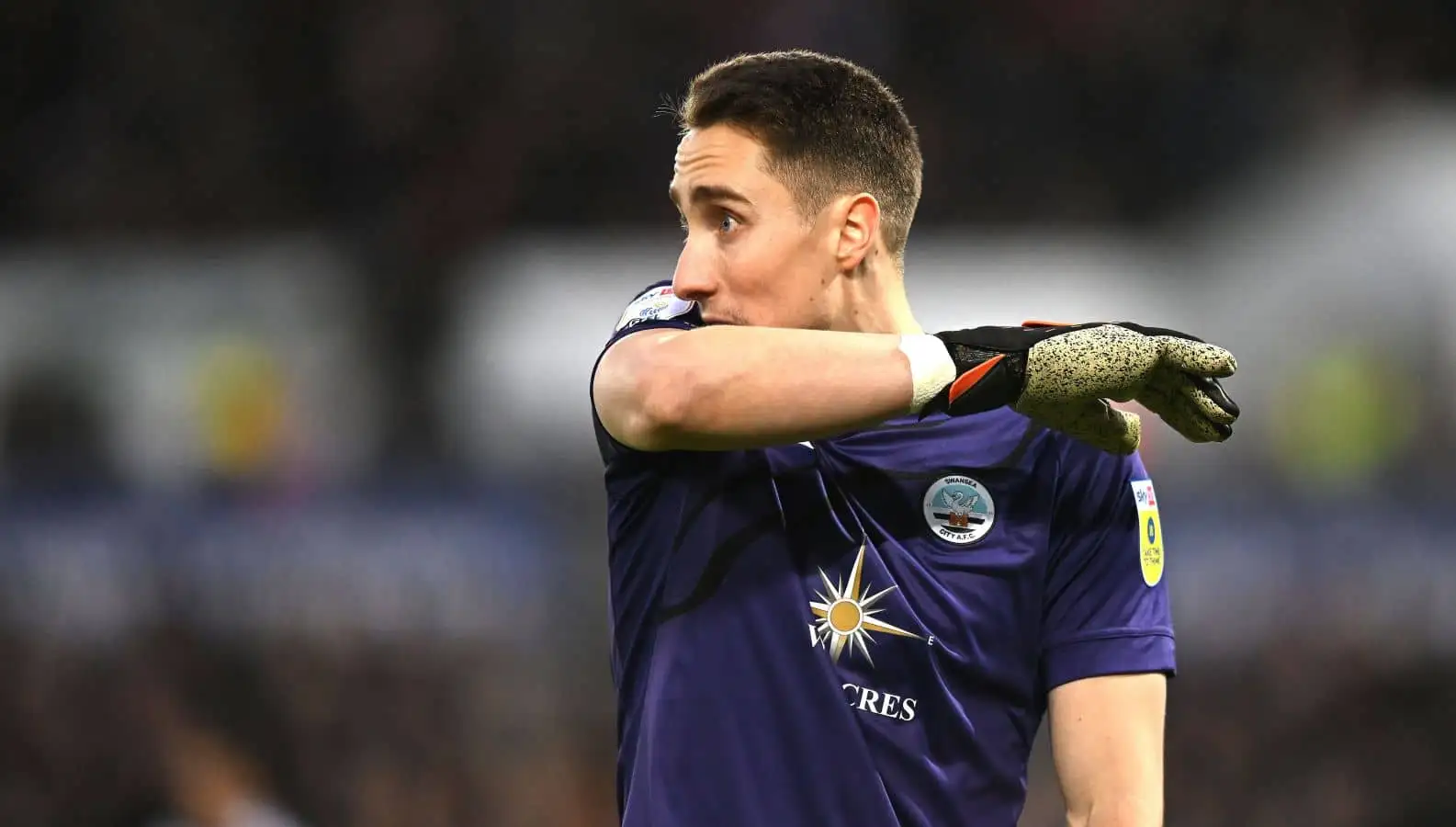 Fulham snap up German stopper from Swansea City on three-year contract