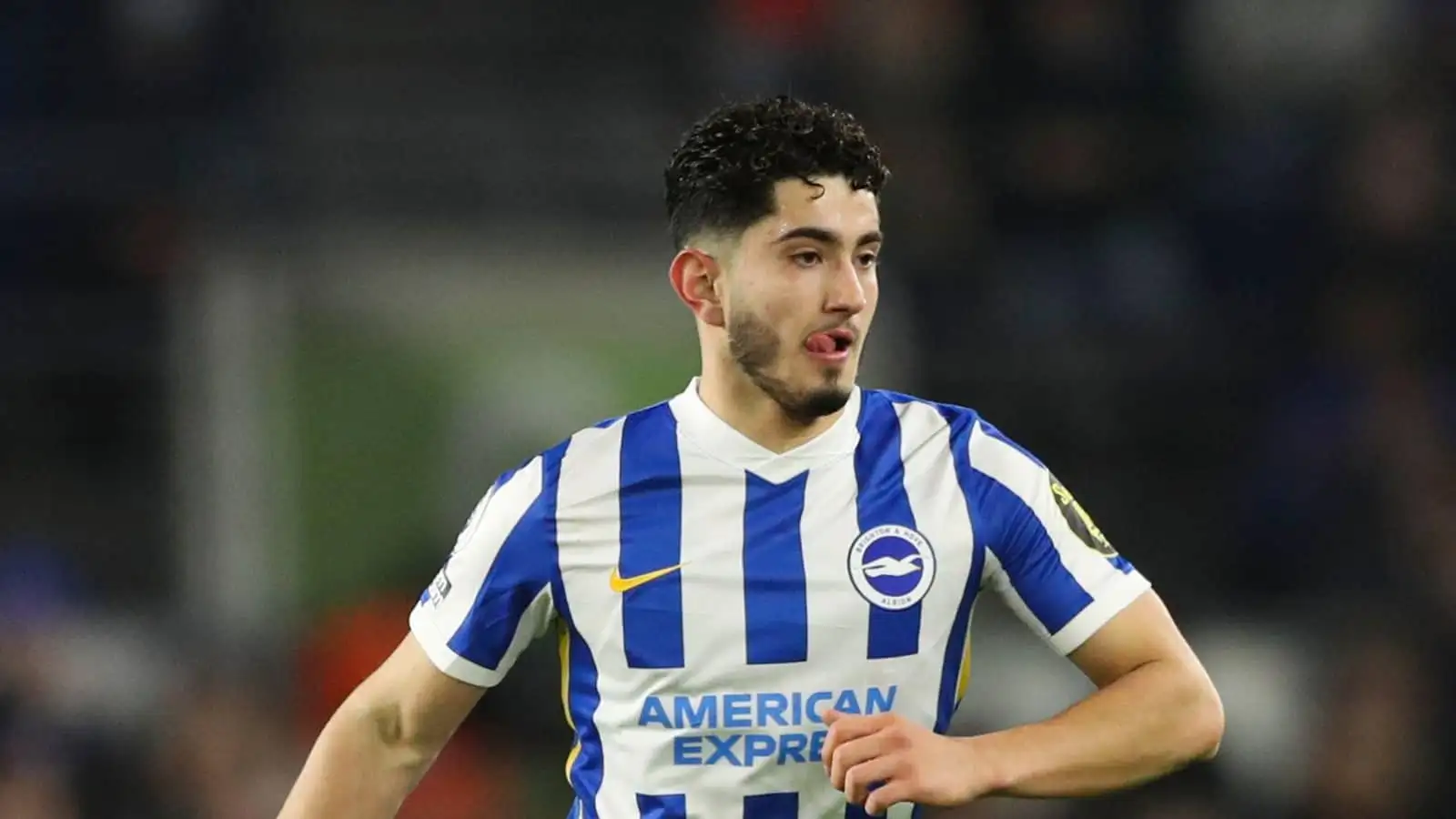 Brighton exclusive: De Zerbi outcast Steven Alzate offered Belgium return through Club Brugge
