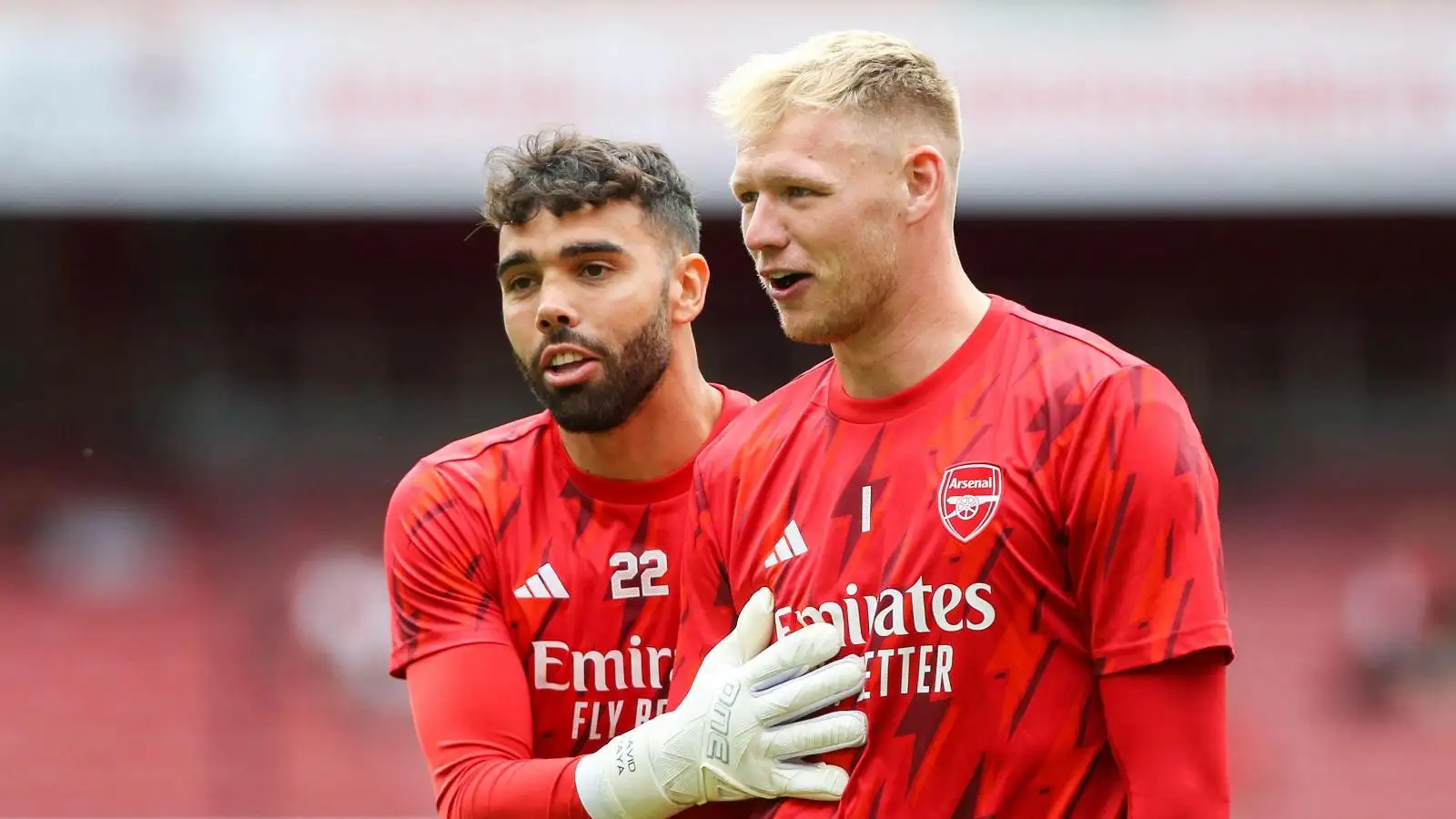 Arsenal goalkeeper duo David Raya and Aaron Ramsdale