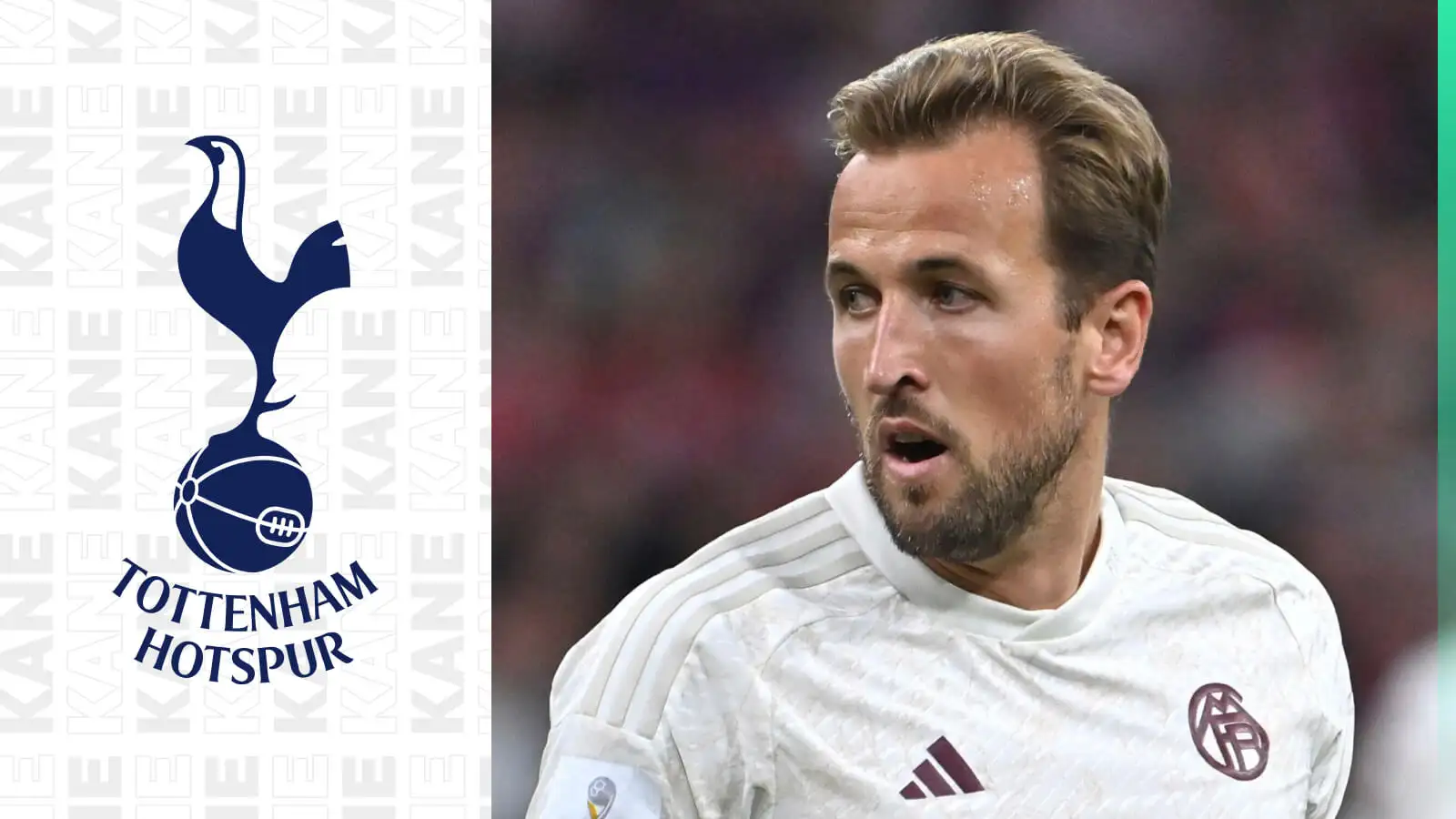 Tottenham takeover: Kane return barrier shattered as Levy comes to huge decision on sale