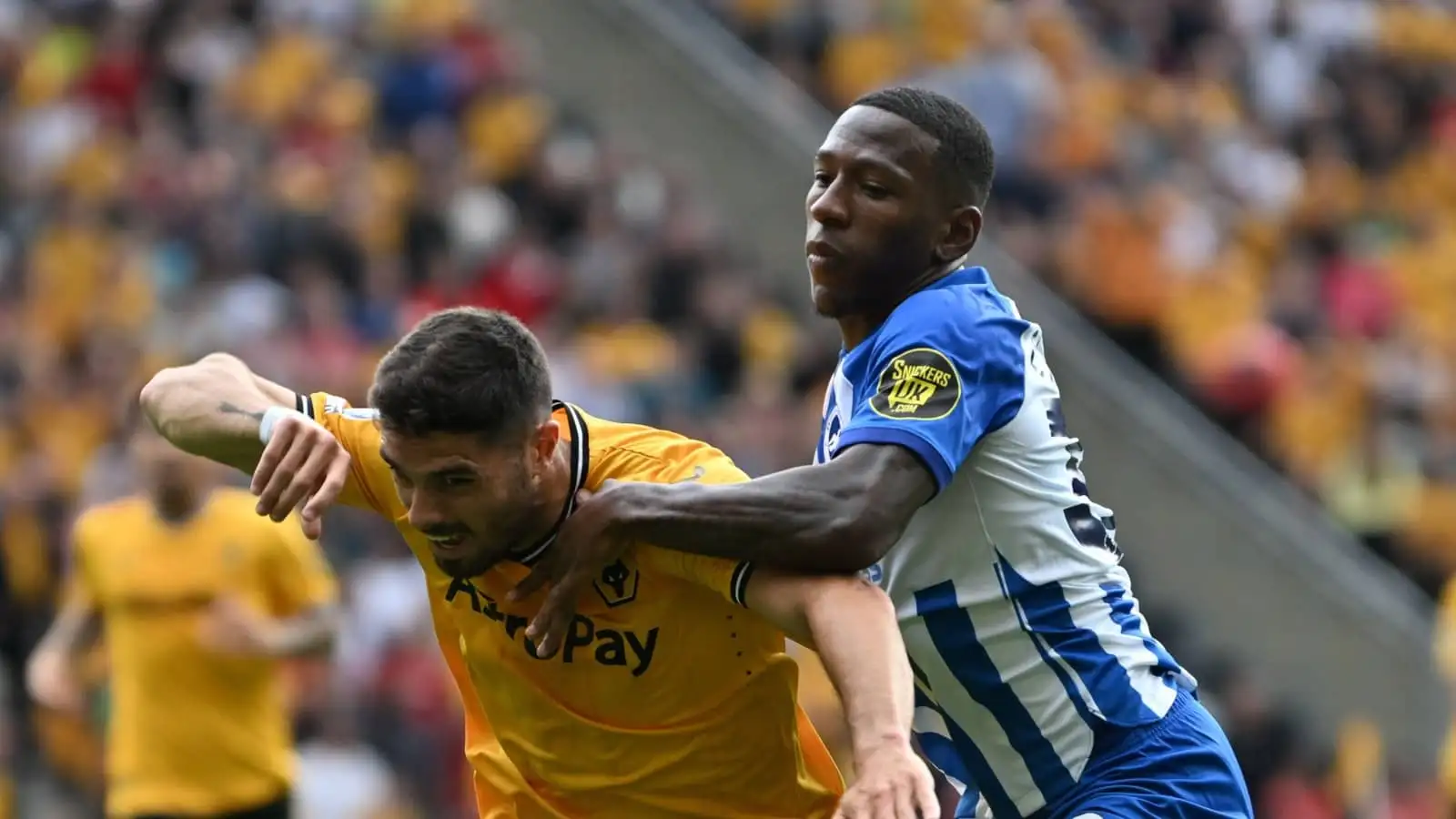 Pedro Neto and Pervis Estupinan, Wolves vs Brighton