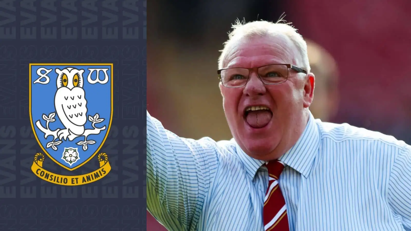 Steve Evans is a managerial target for Sheffield Wednesday