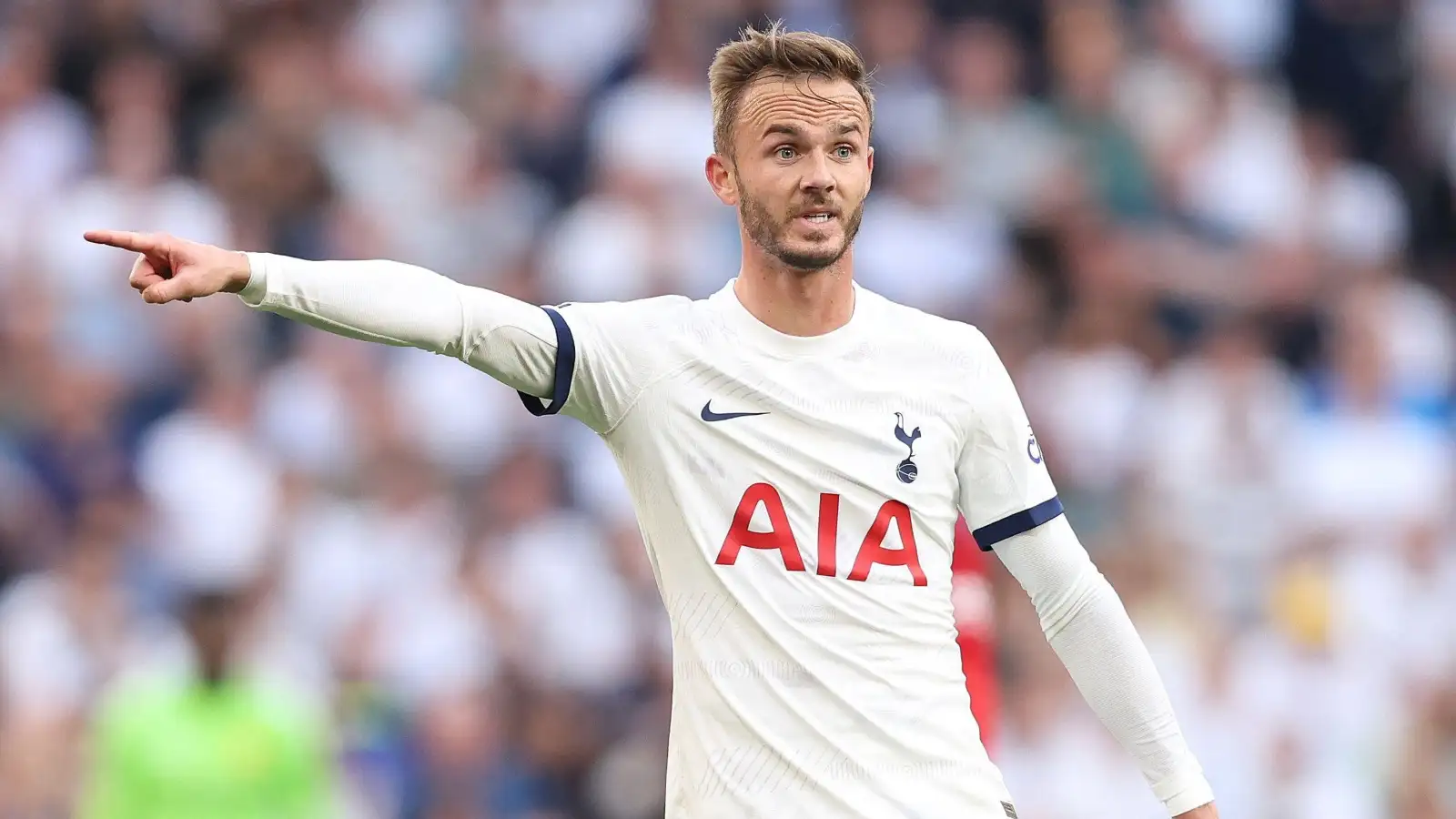 Tottenham fears realised as Maddison withdraws from England squad and set for spell on sidelines