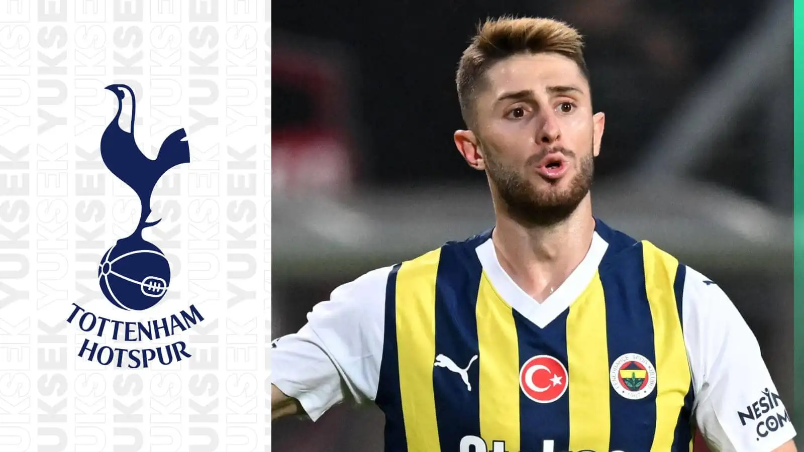 Ismail Yuksek in Fenerbahce kit next to the Tottenham badge