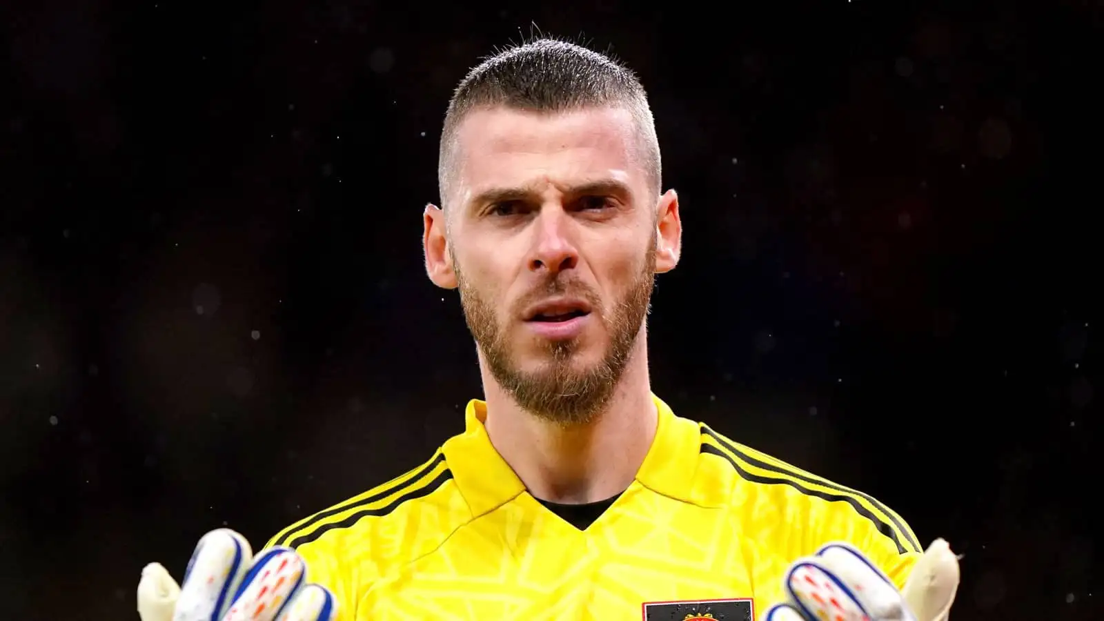 David de Gea, Manchester United, January 2023