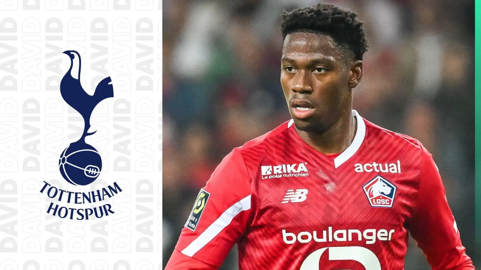 Jonathan David of Lille is a target for Tottenham