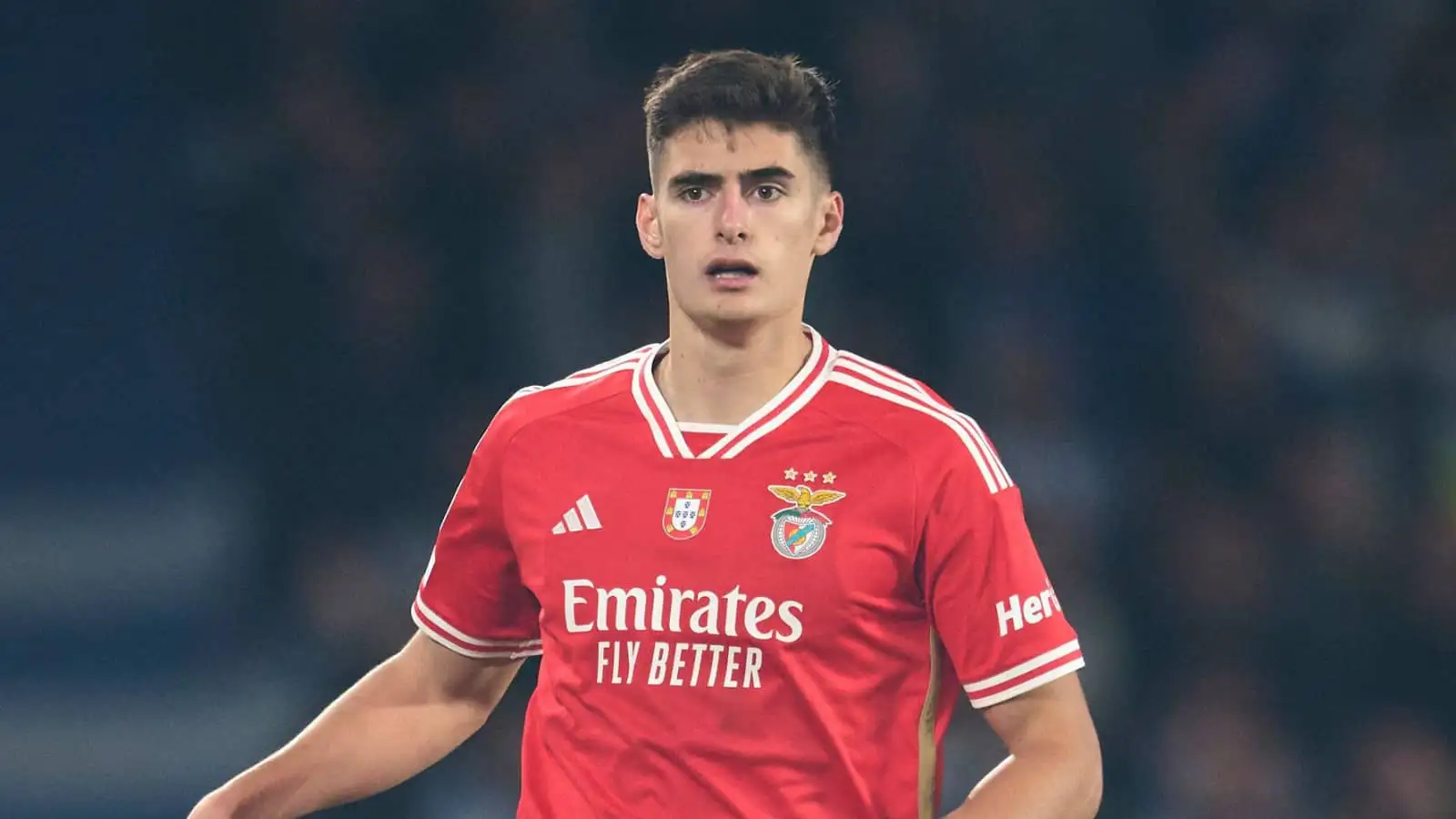 Postecoglou plans to snare ‘elite’ £87m centre-back to sort Tottenham defence for a decade