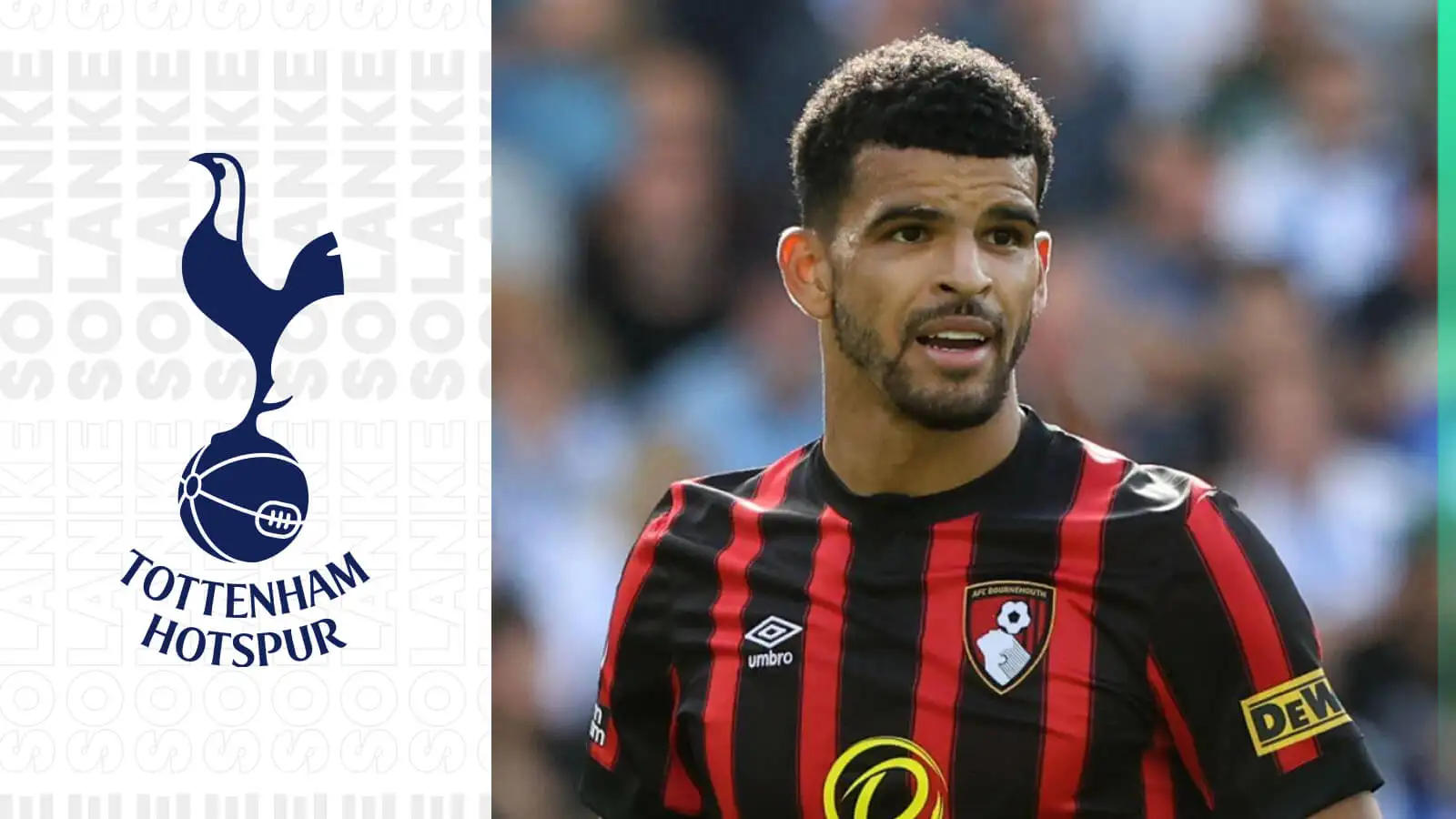 Dominic Solanke, Bournemouth, 2023