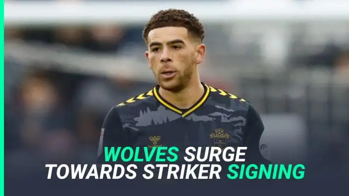Che Adams, Wolves
