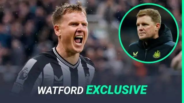 Watford are interested in Newcastle veteran Matt Ritchie