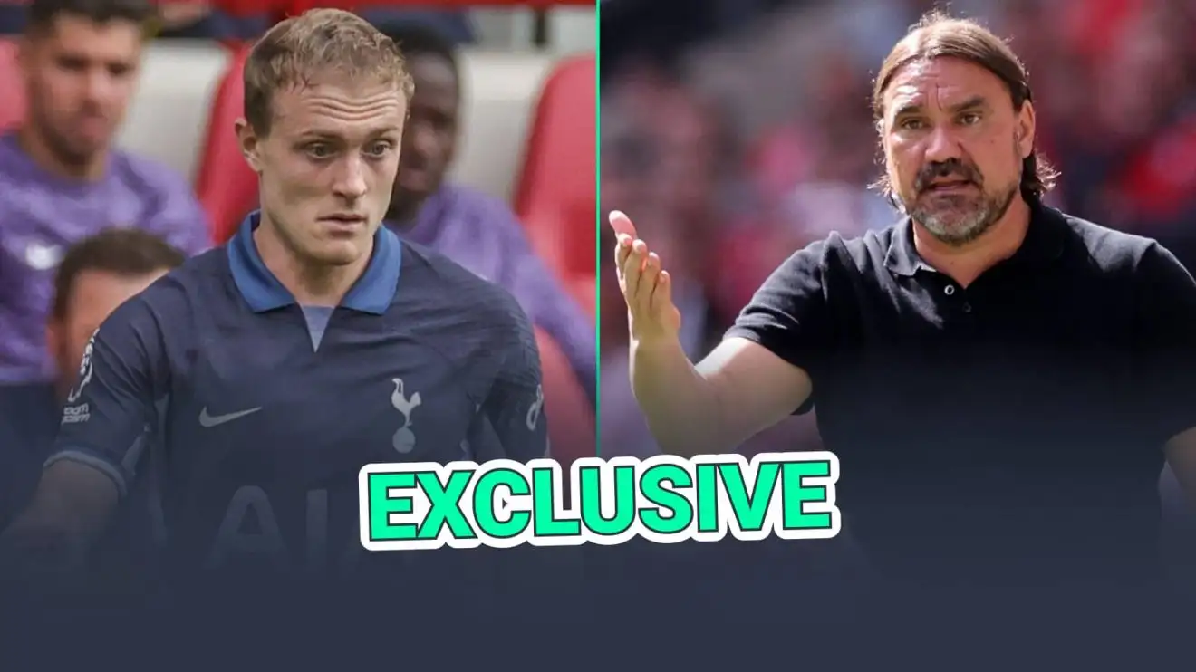 Oliver Skipp is not keen on dropping to the Championship Oliver Skipp is not keen on dropping to the Championship