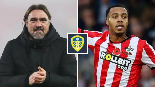 Leeds want to sign Southampton striker Cameron Archer