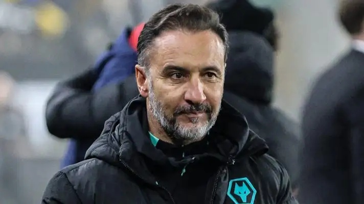 Vitor Pereira, Wolves