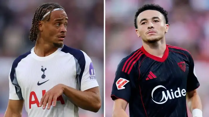 Tottenham left-wing options, targets