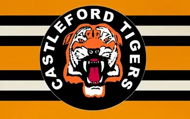 Tigers CEO praises fans